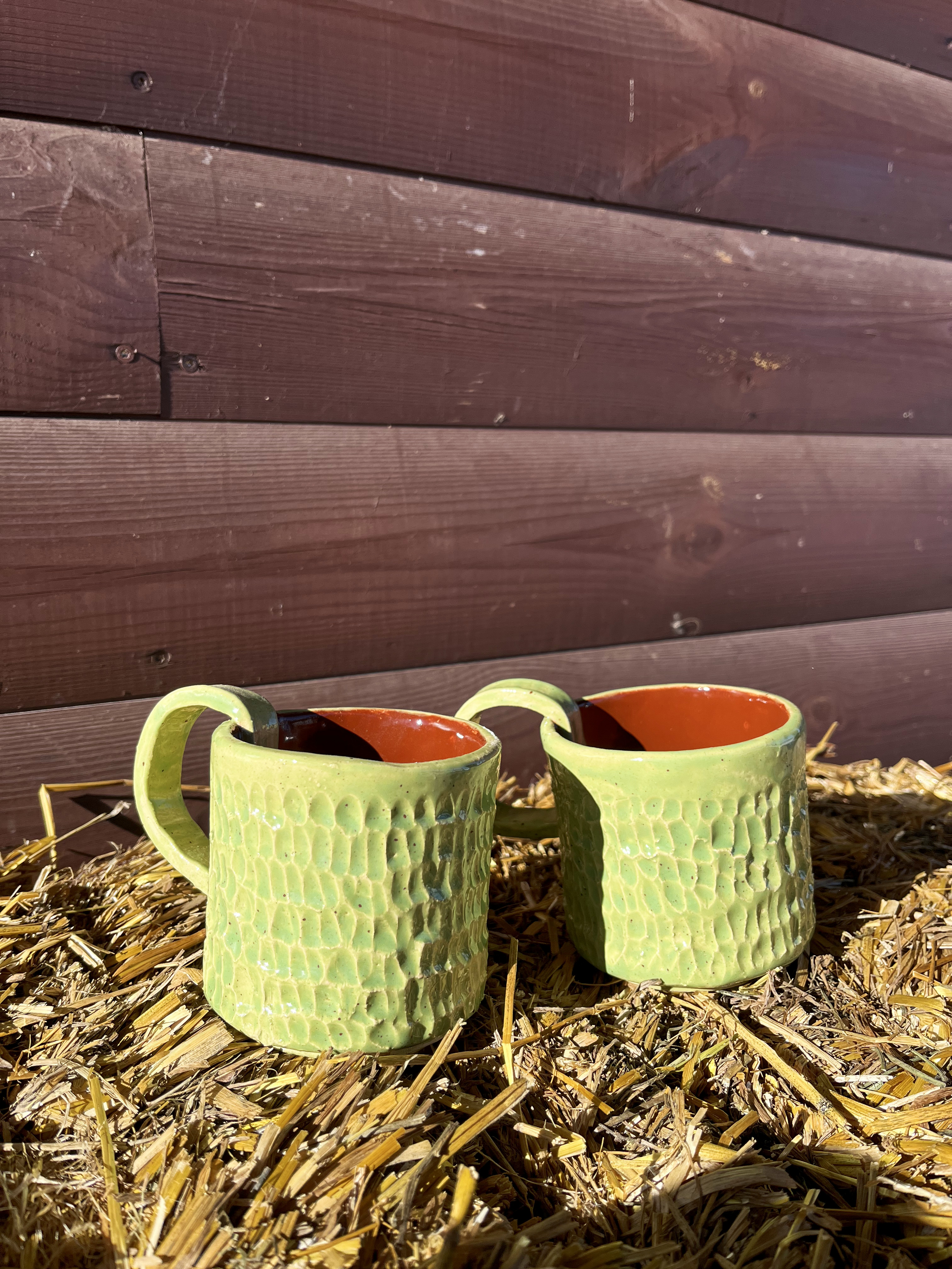 Gaivos puodelių rinkinys su lėkštutėmis