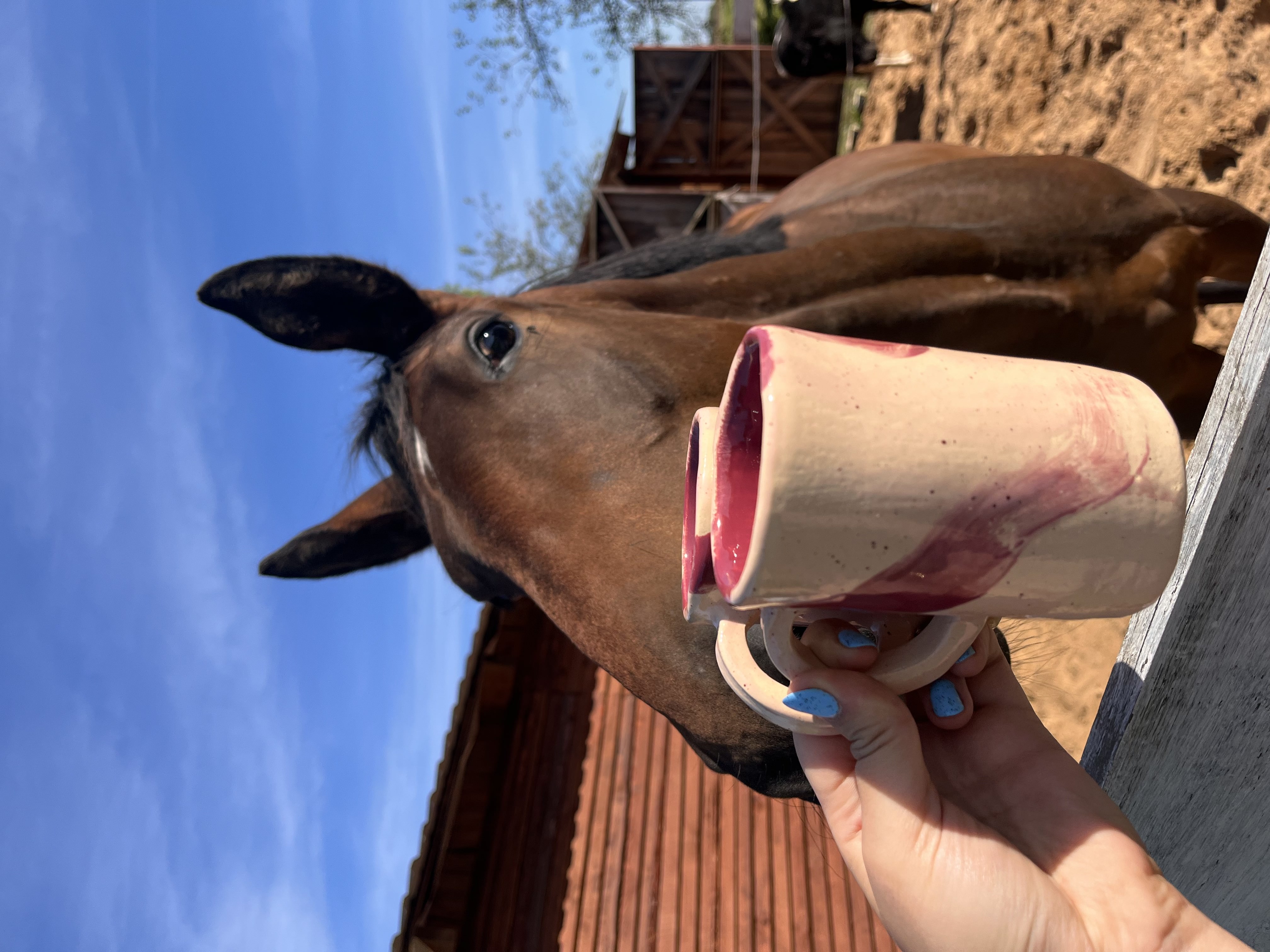 Vienkartinis keramikos užsiėmimas žirgyne 