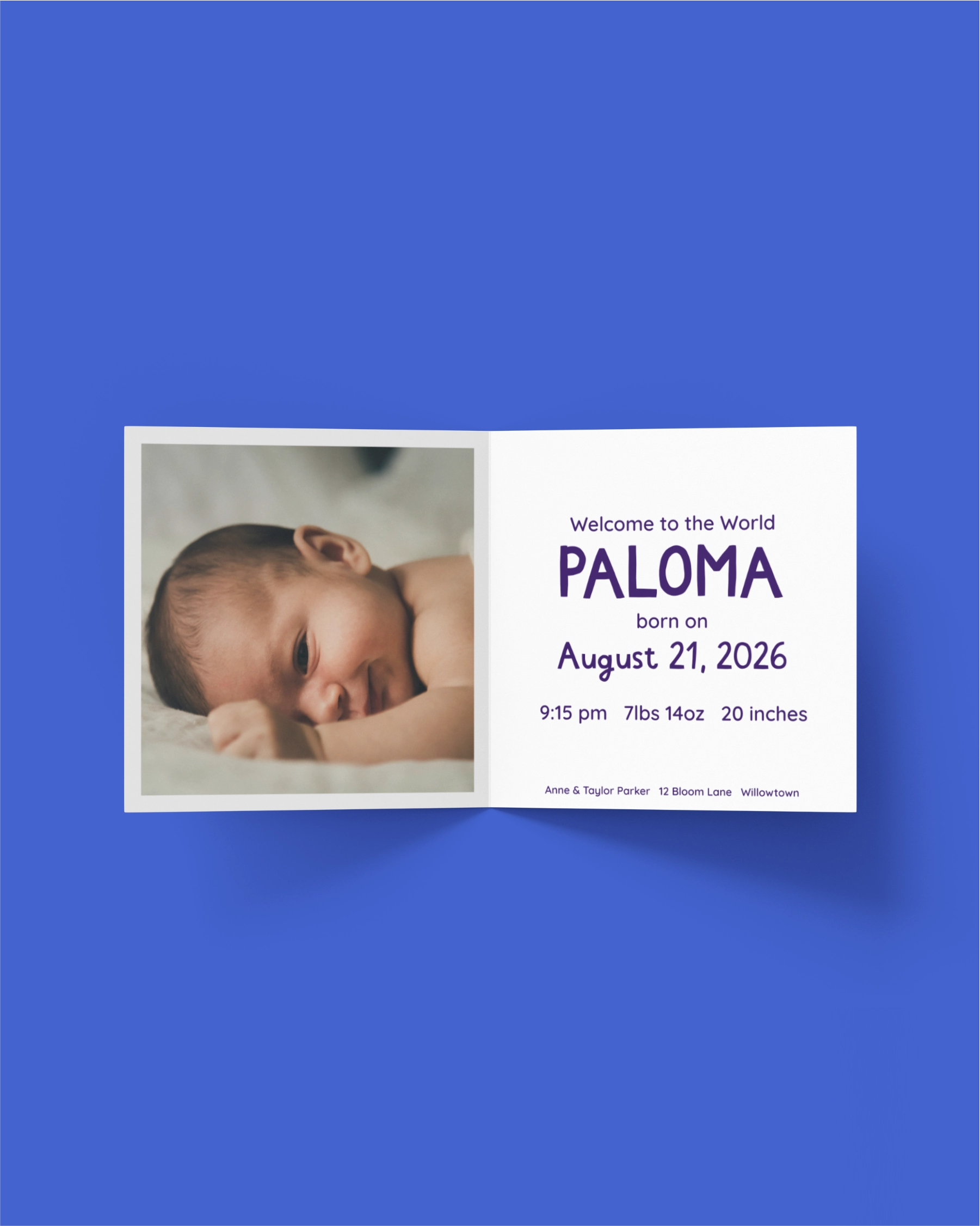 Birth Announcement "Birds"