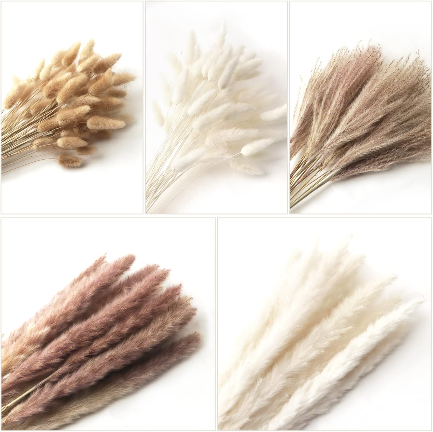 Dried Pampas Bouquet