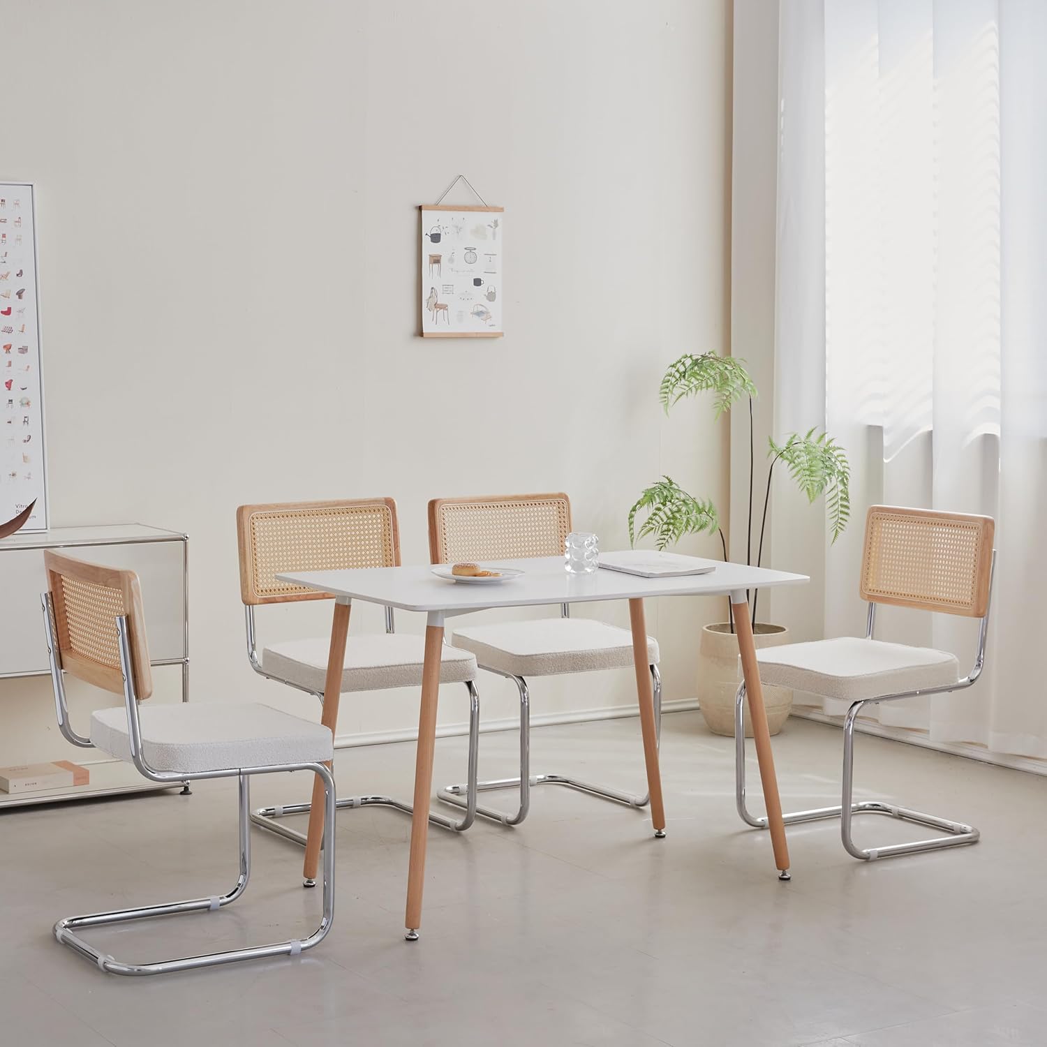 Dinning Chairs
