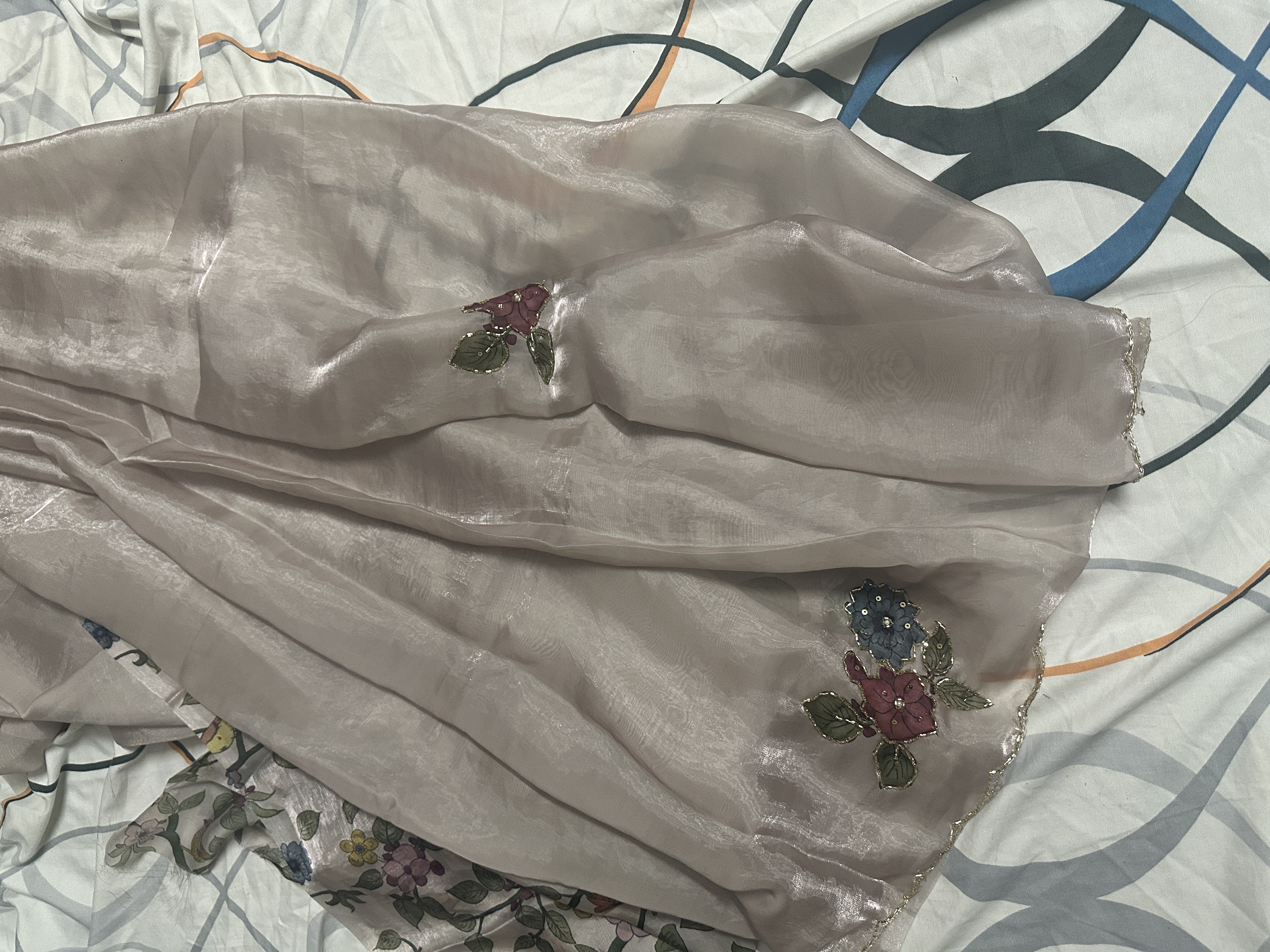 Elegant Space silk Saree