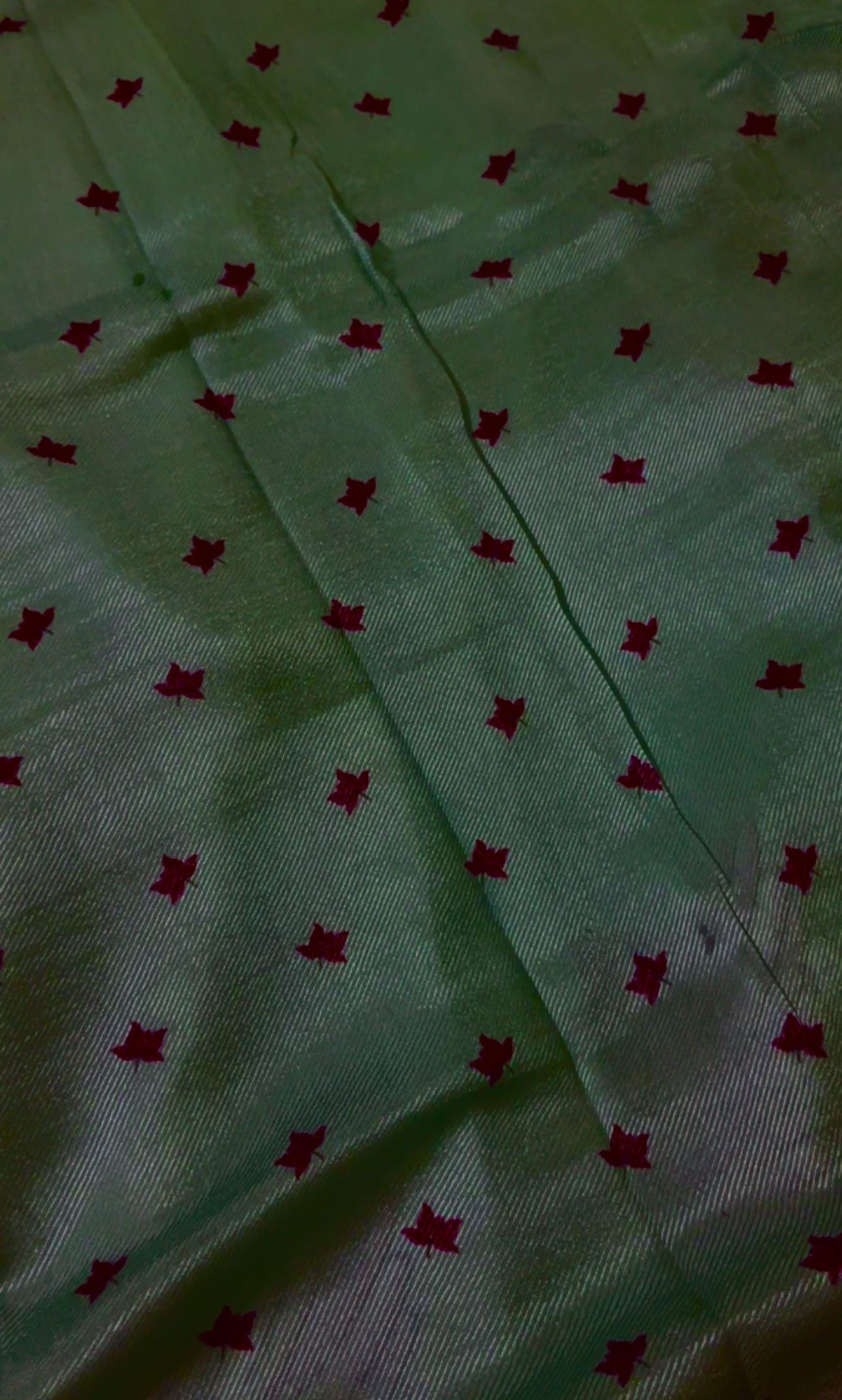 Hand-painted Swan Ruby Silk Saree