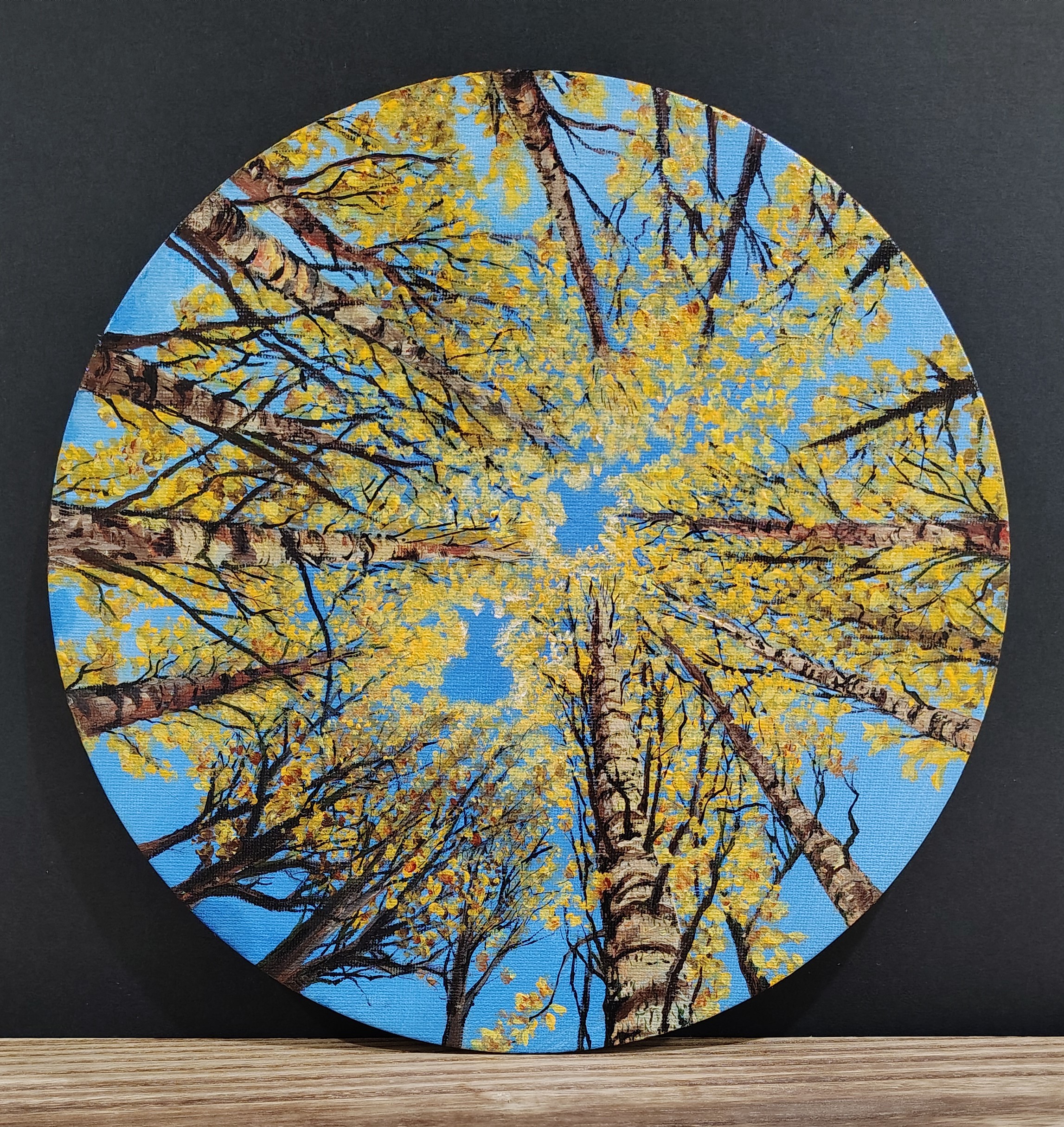 Round Forest Perspective Birch Trees Fall Acrylic Painting 