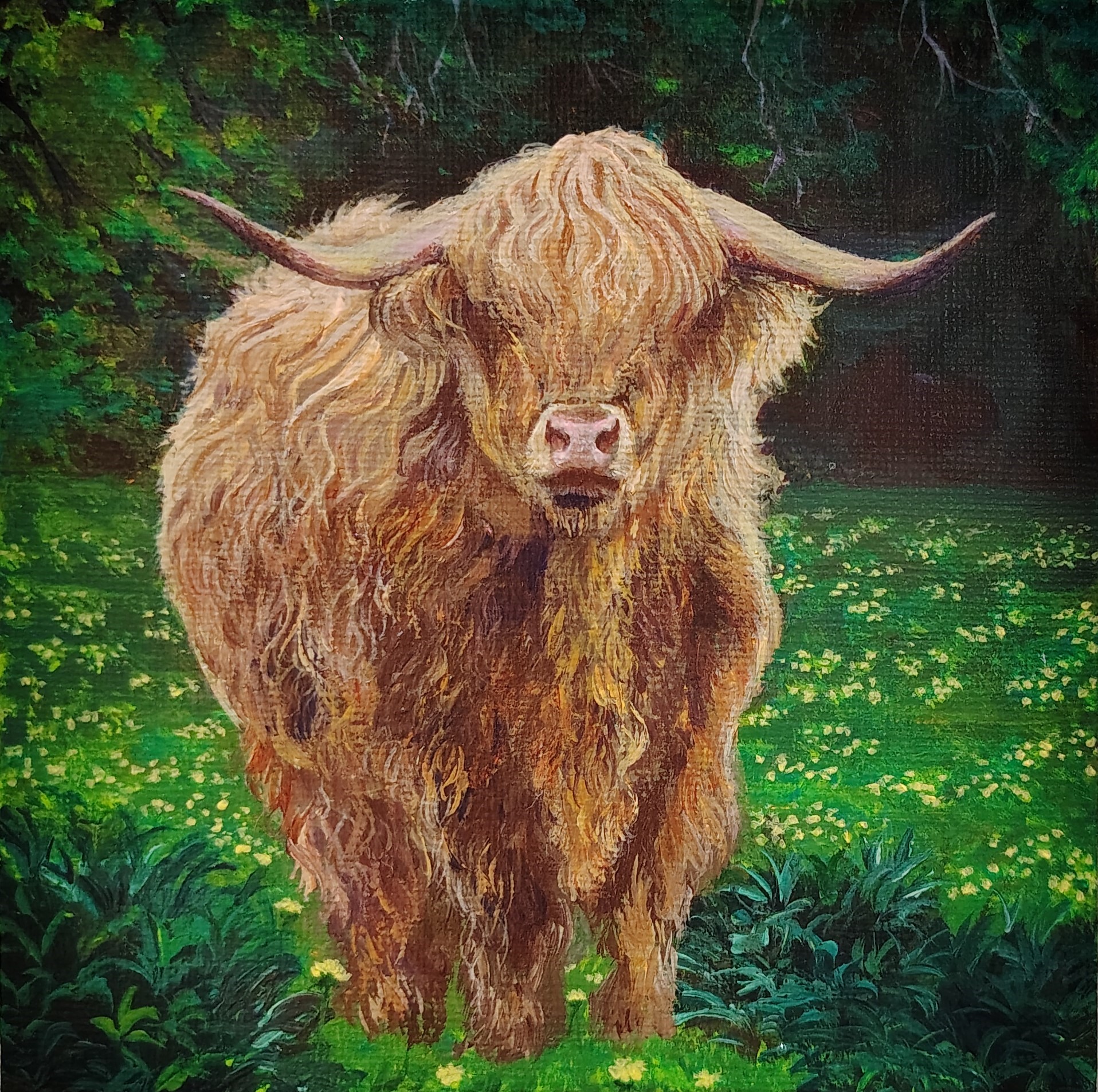 Highland Cow Painting