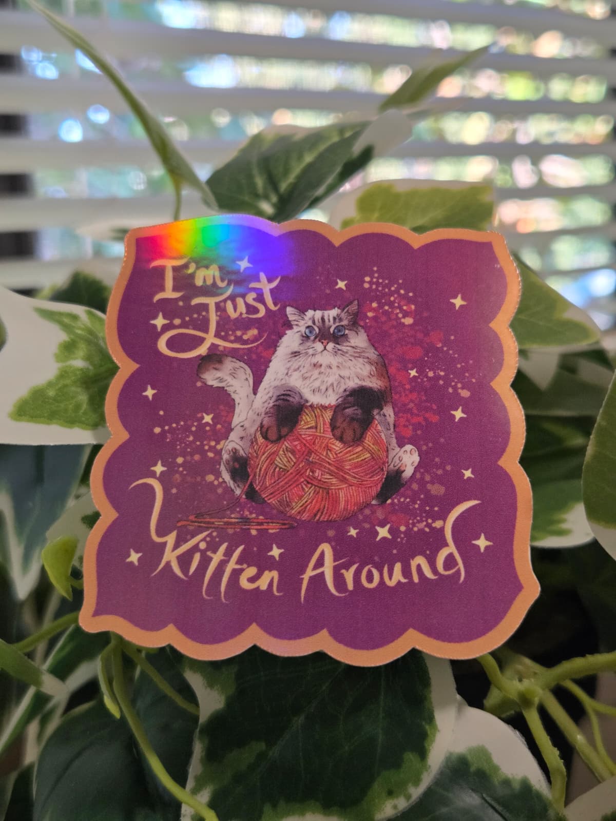 Vinyl Sticker Cat Kitten Yarn Vinyl Sticker