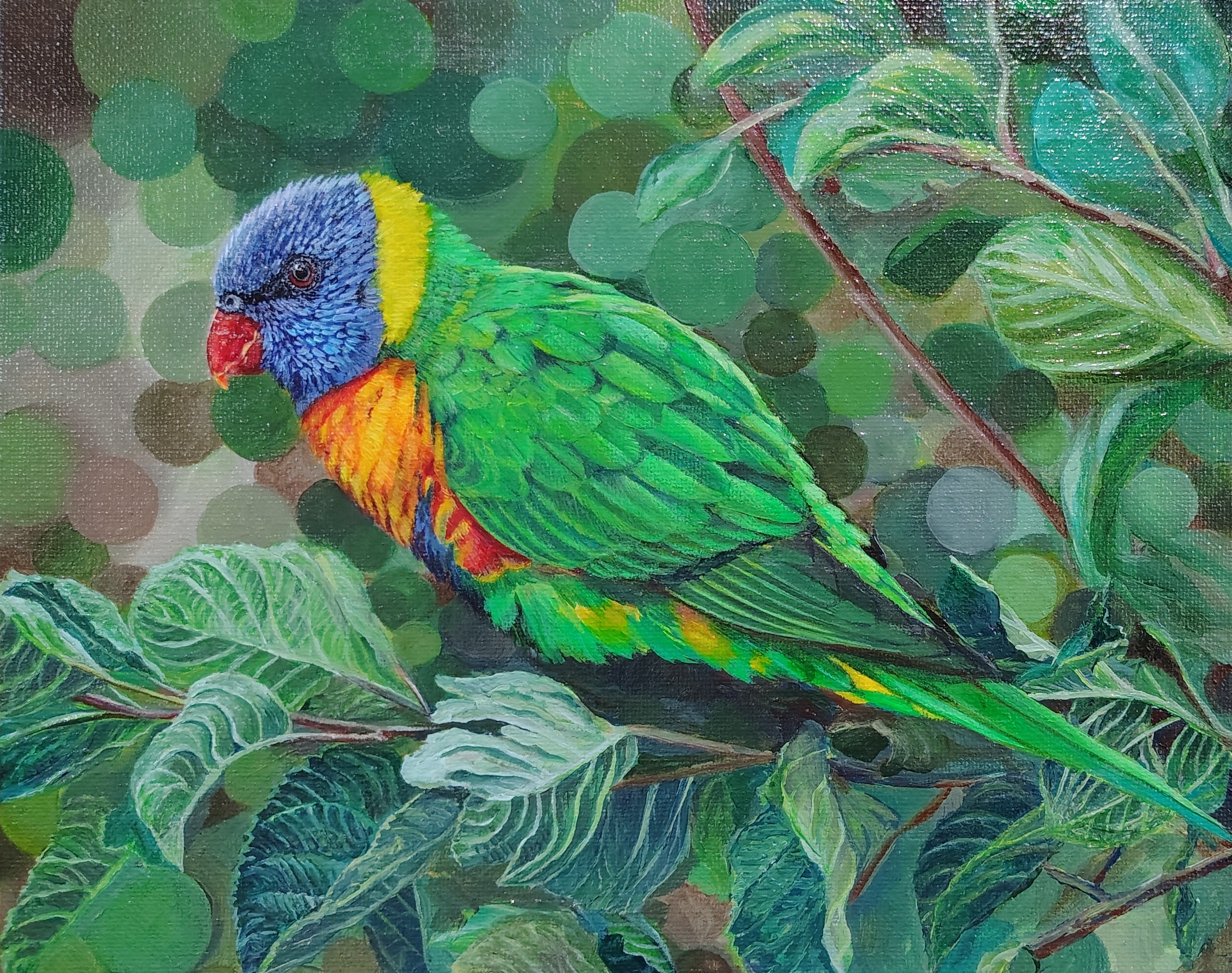 Rainbow Lorikeet Loriini Bird Parrot Painting