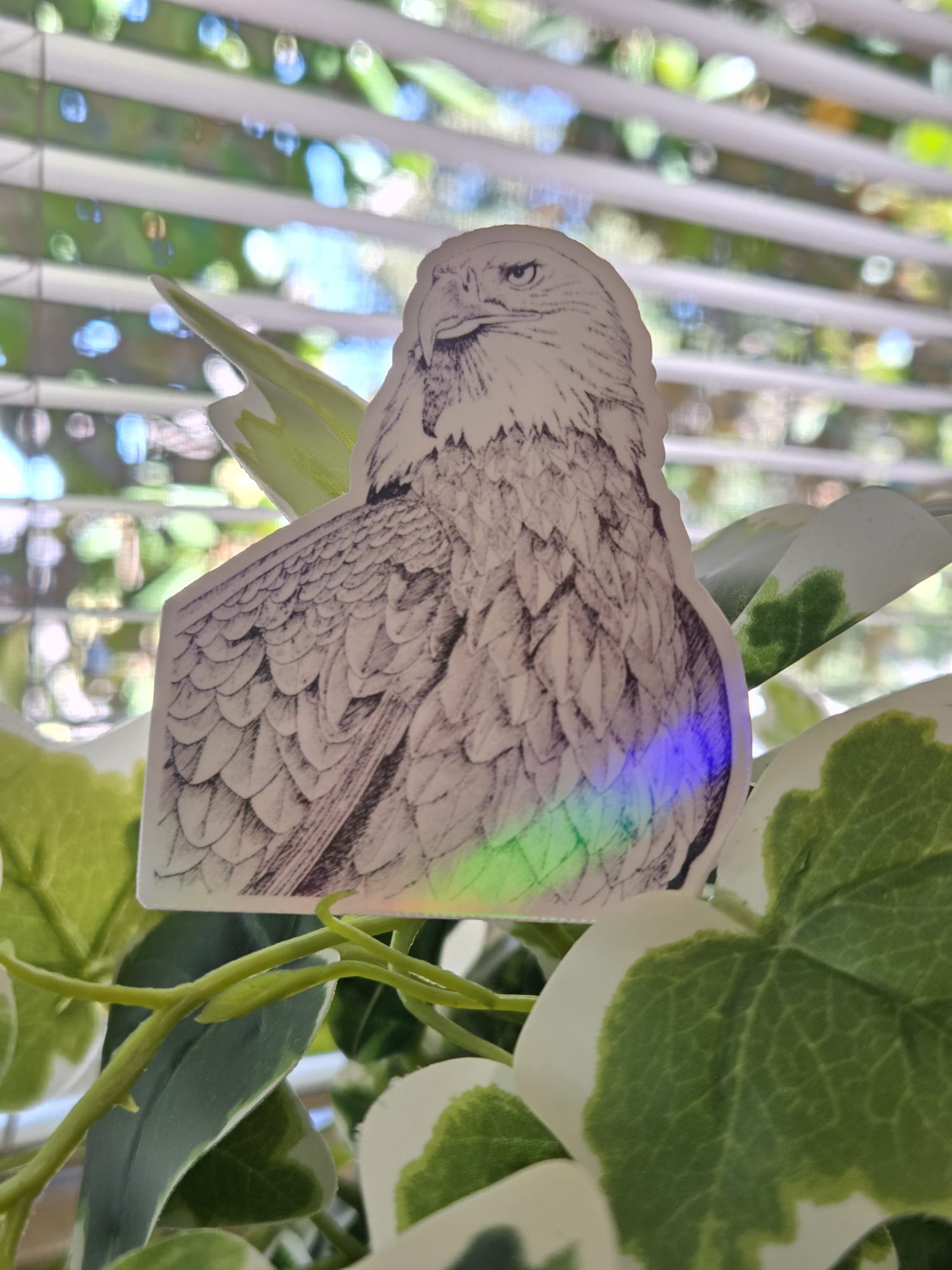 American Eagle Bird Illustration Vinyl Sticker