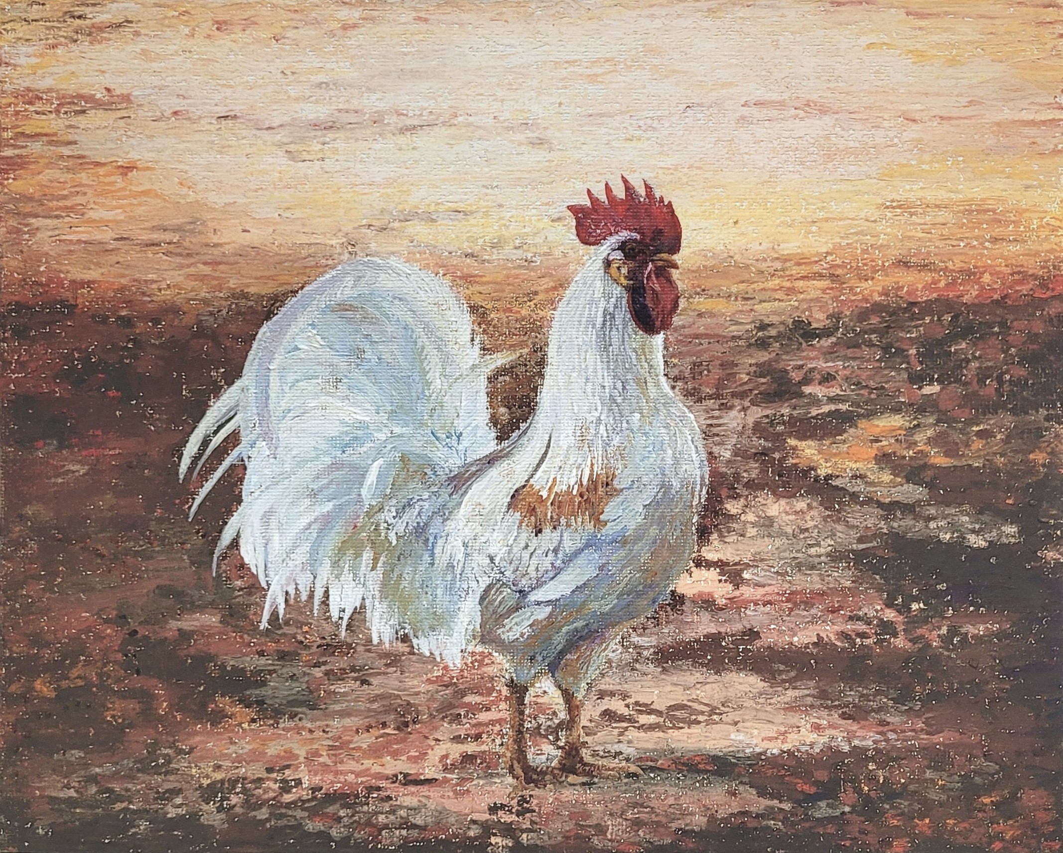 White Rooster Painting 