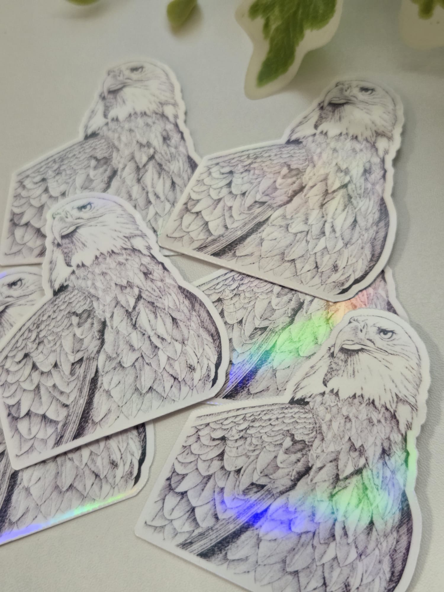 American Eagle Bird Illustration Vinyl Sticker