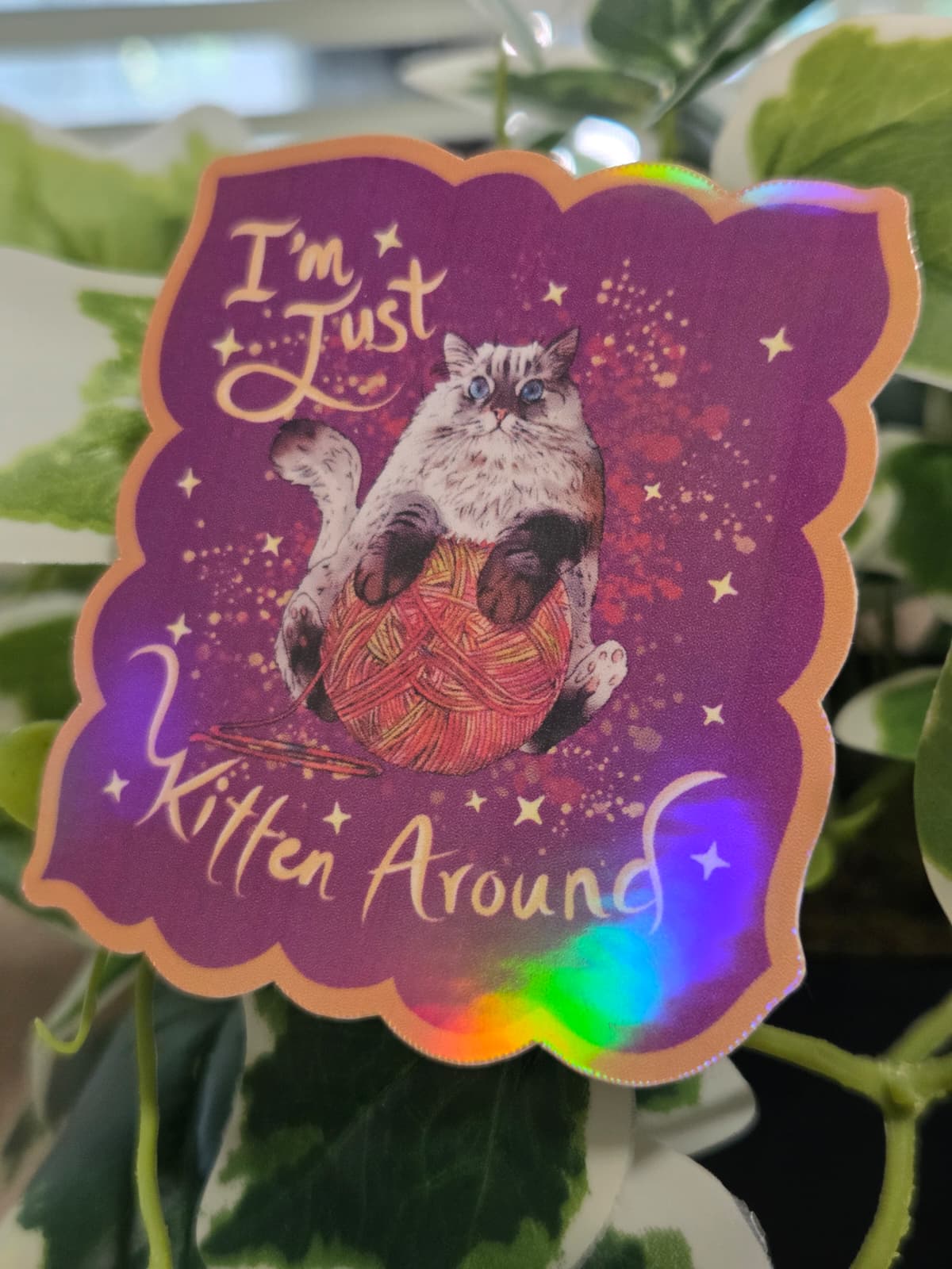 Vinyl Sticker Cat Kitten Yarn Vinyl Sticker