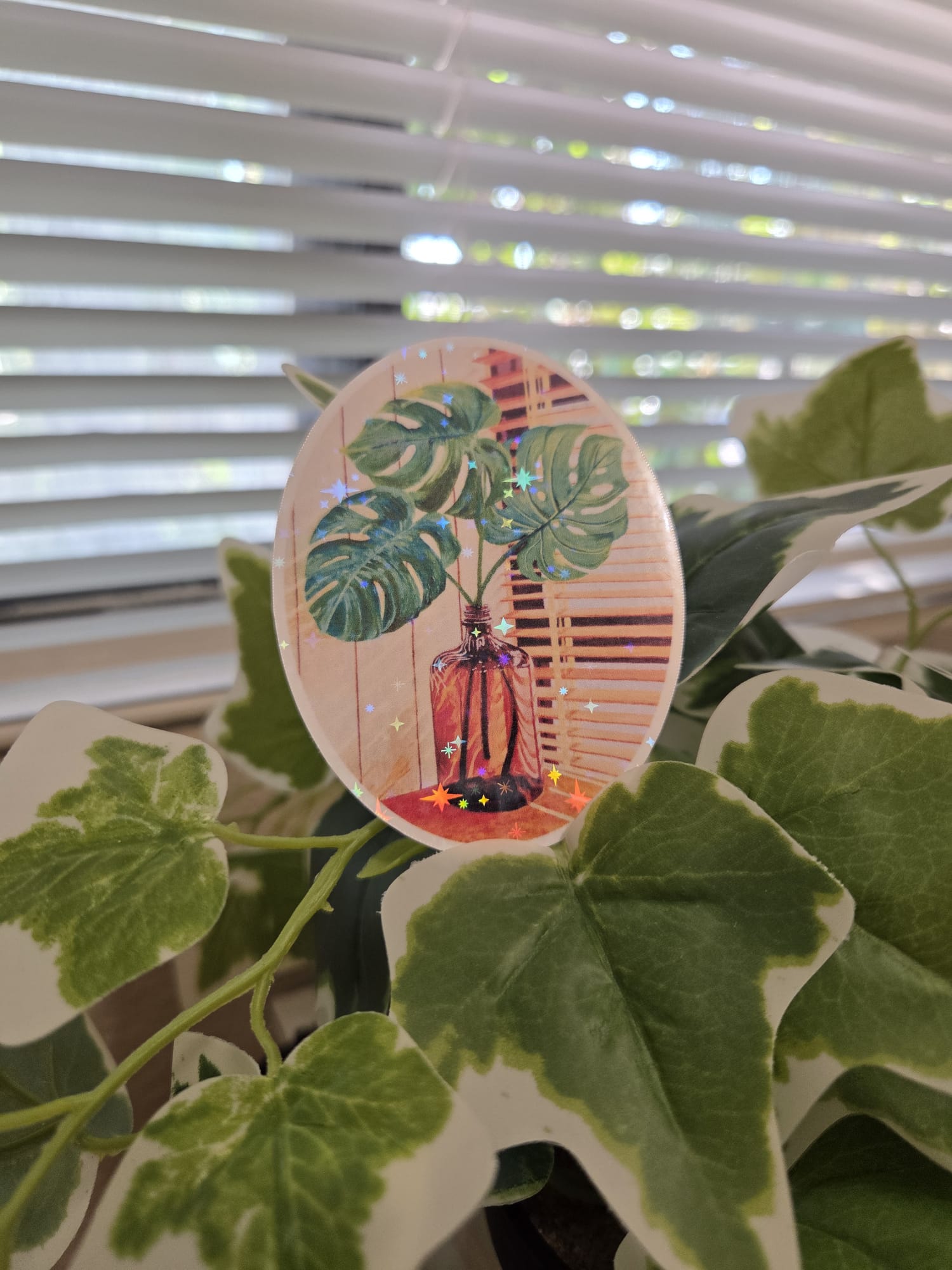 Monstera Deliciosa Swiss Leaf Plant Art Vinyl Sticker