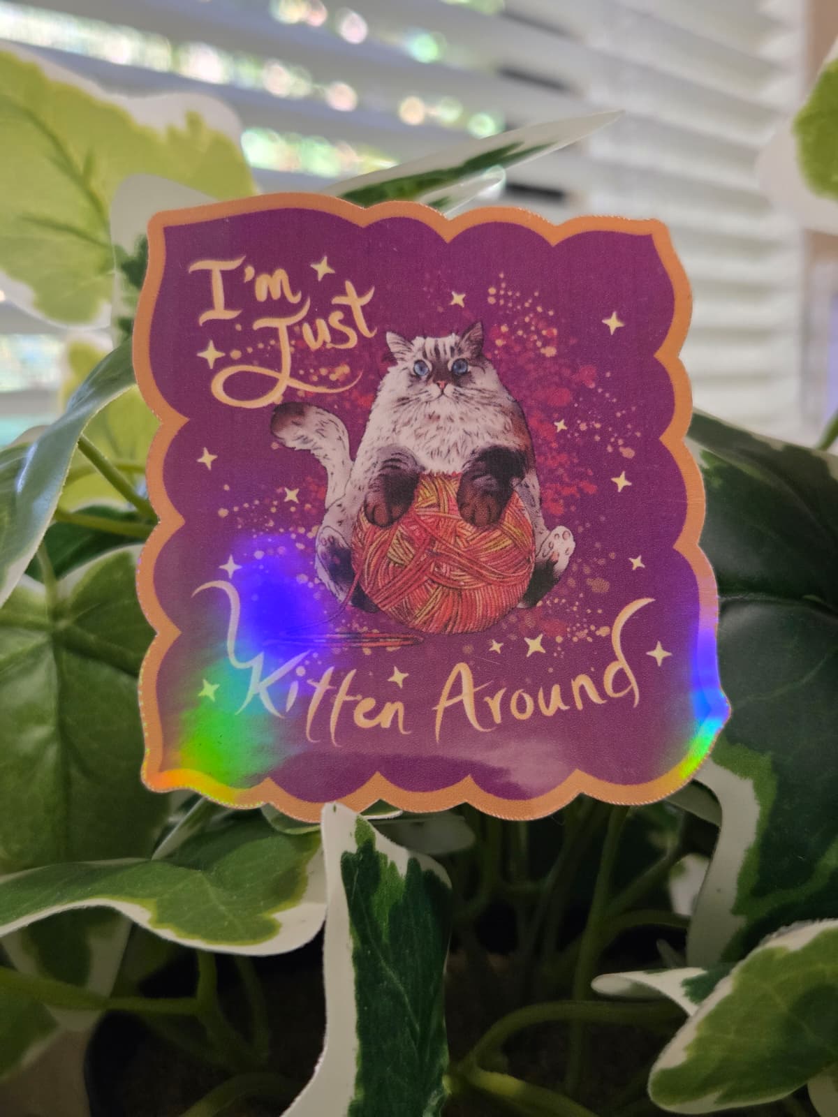 Vinyl Sticker Cat Kitten Yarn Vinyl Sticker