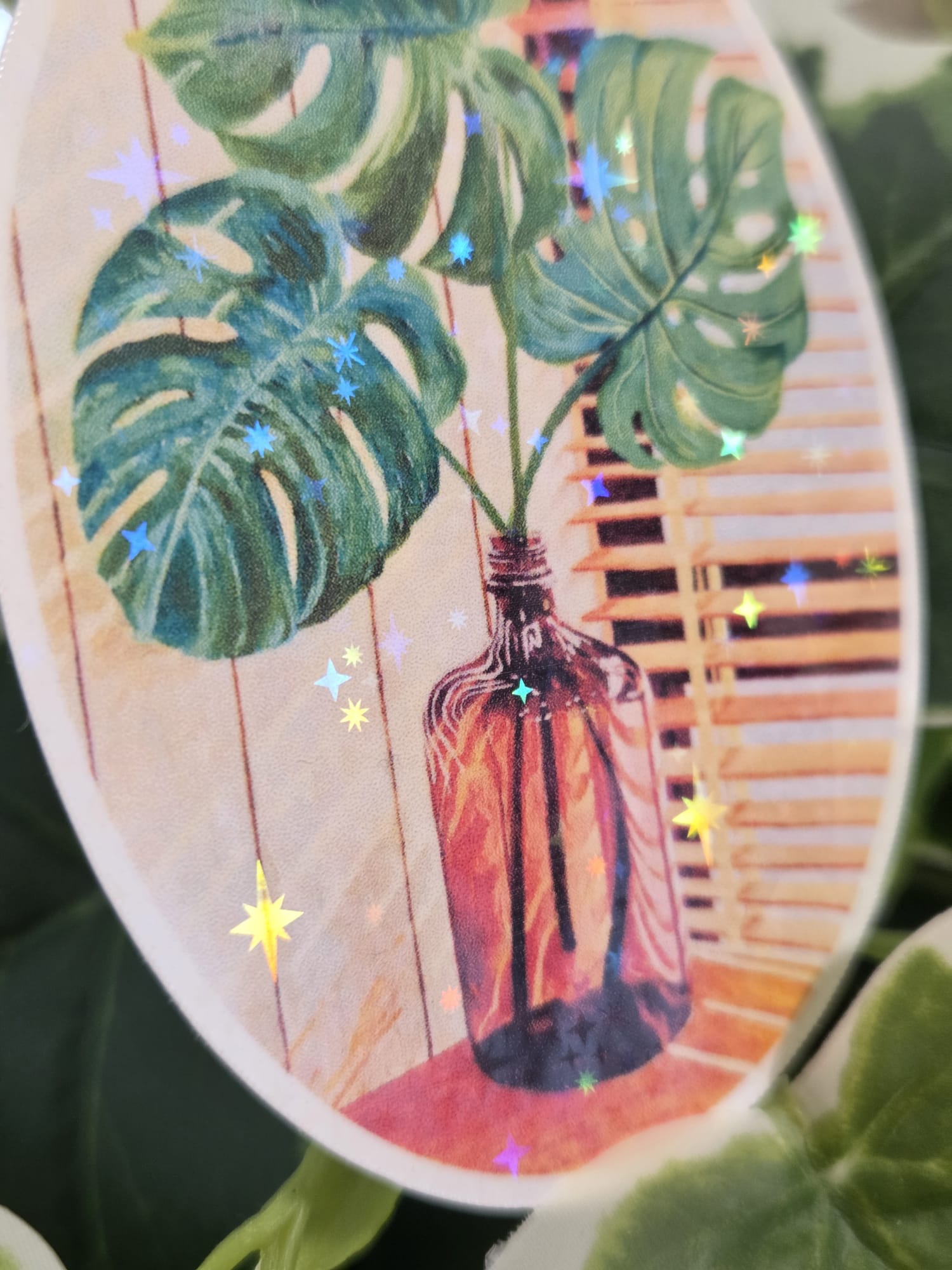 Monstera Deliciosa Swiss Leaf Plant Art Vinyl Sticker