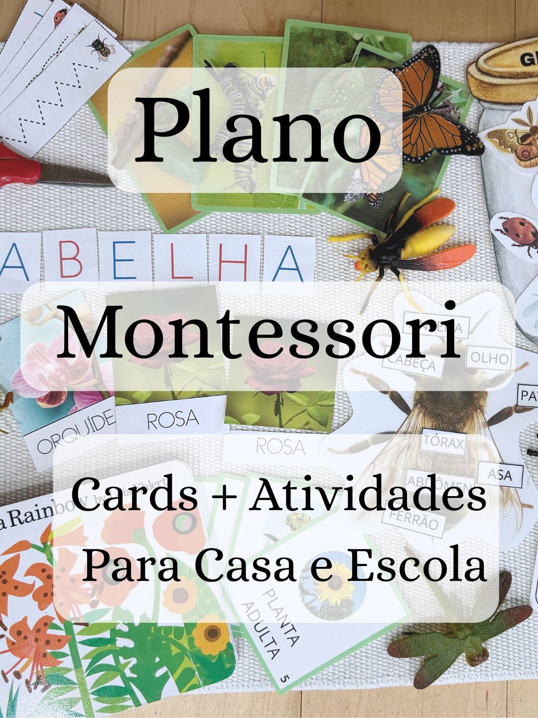 Plano de Atividades Montessori para Casa e Escola (Crianças de 20 meses a 5 anos)
