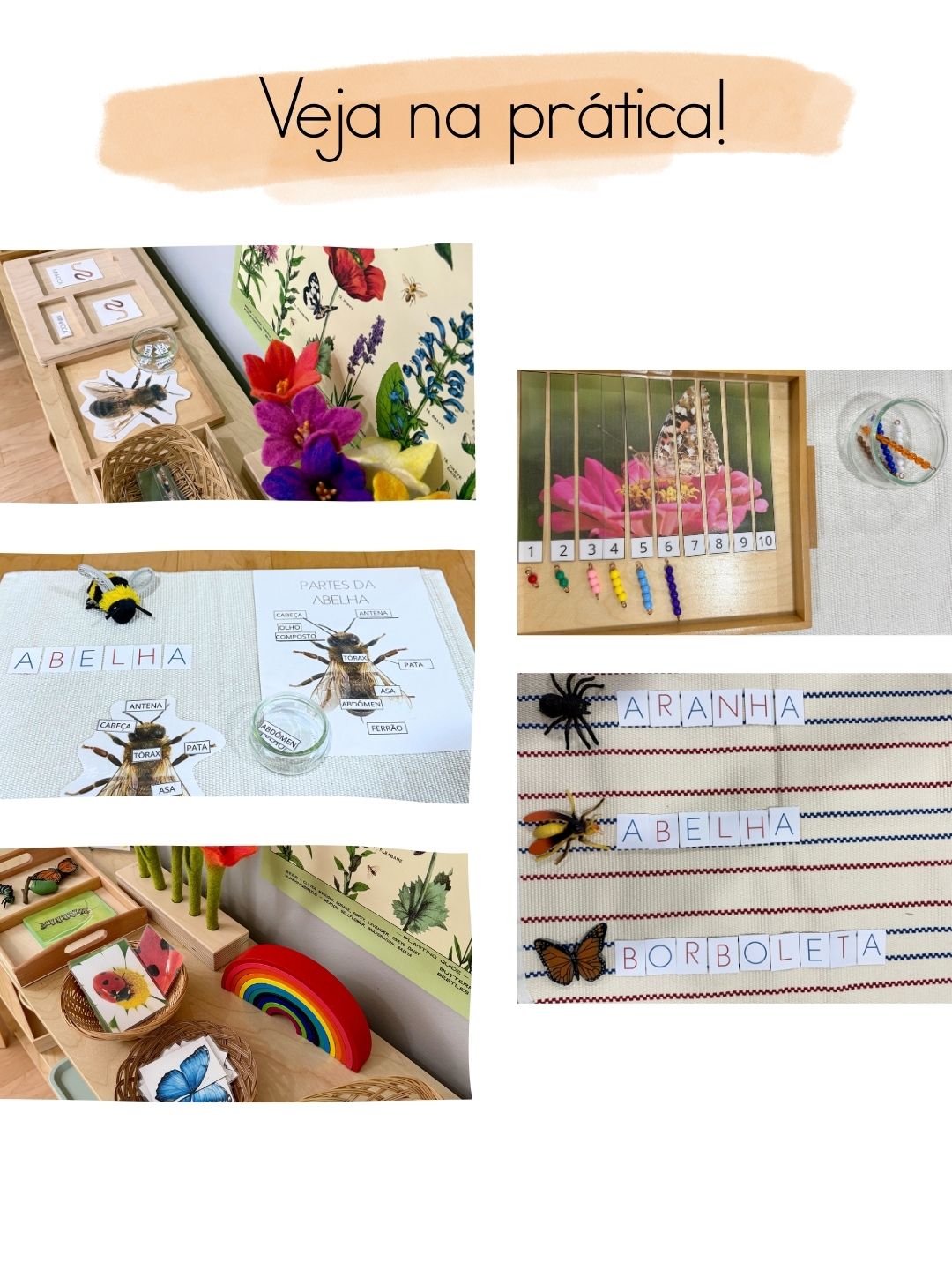Plano de Atividades Montessori para Casa e Escola (Crianças de 20 meses a 5 anos)