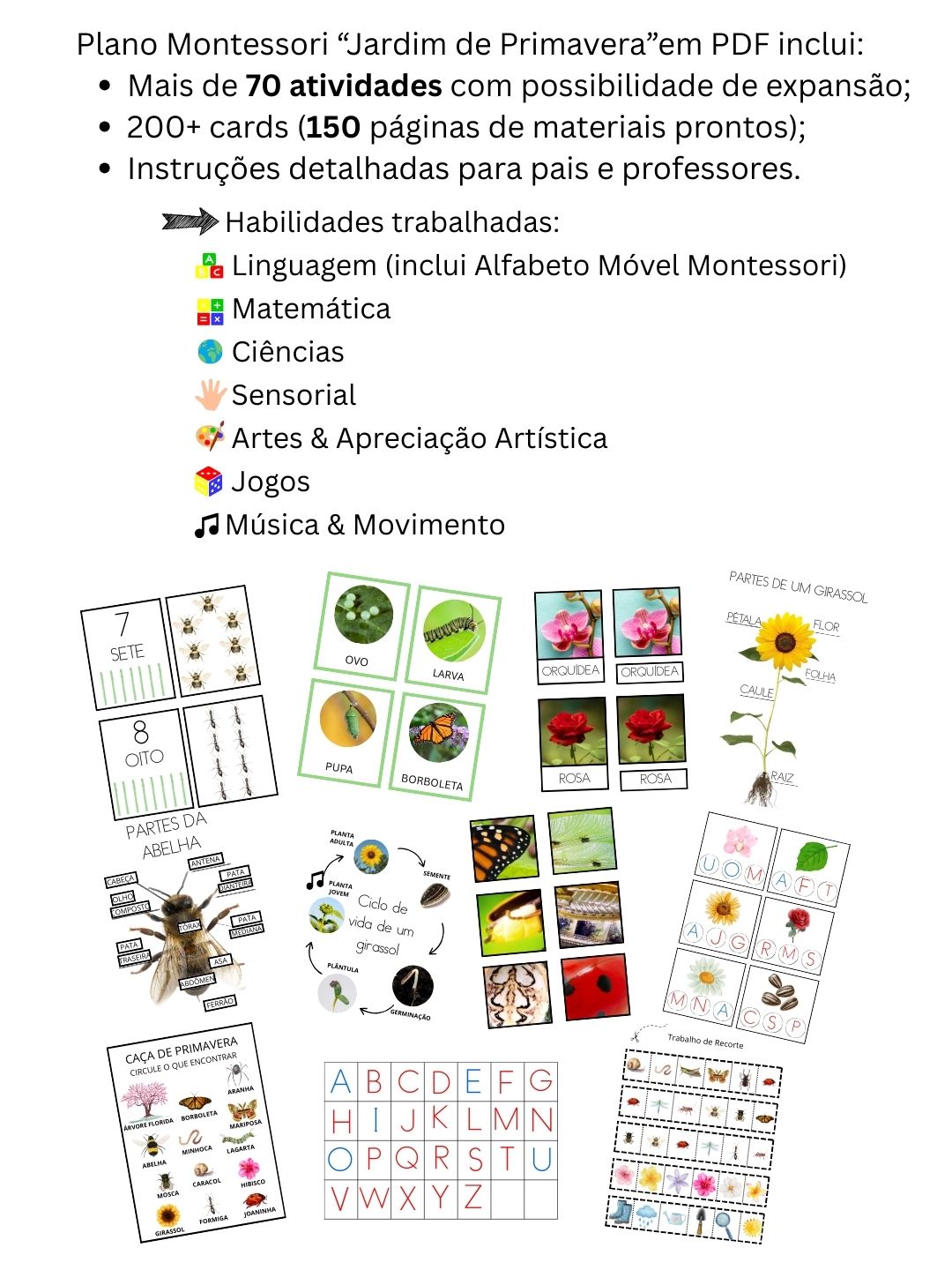 Plano de Atividades Montessori para Casa e Escola (Crianças de 20 meses a 5 anos)