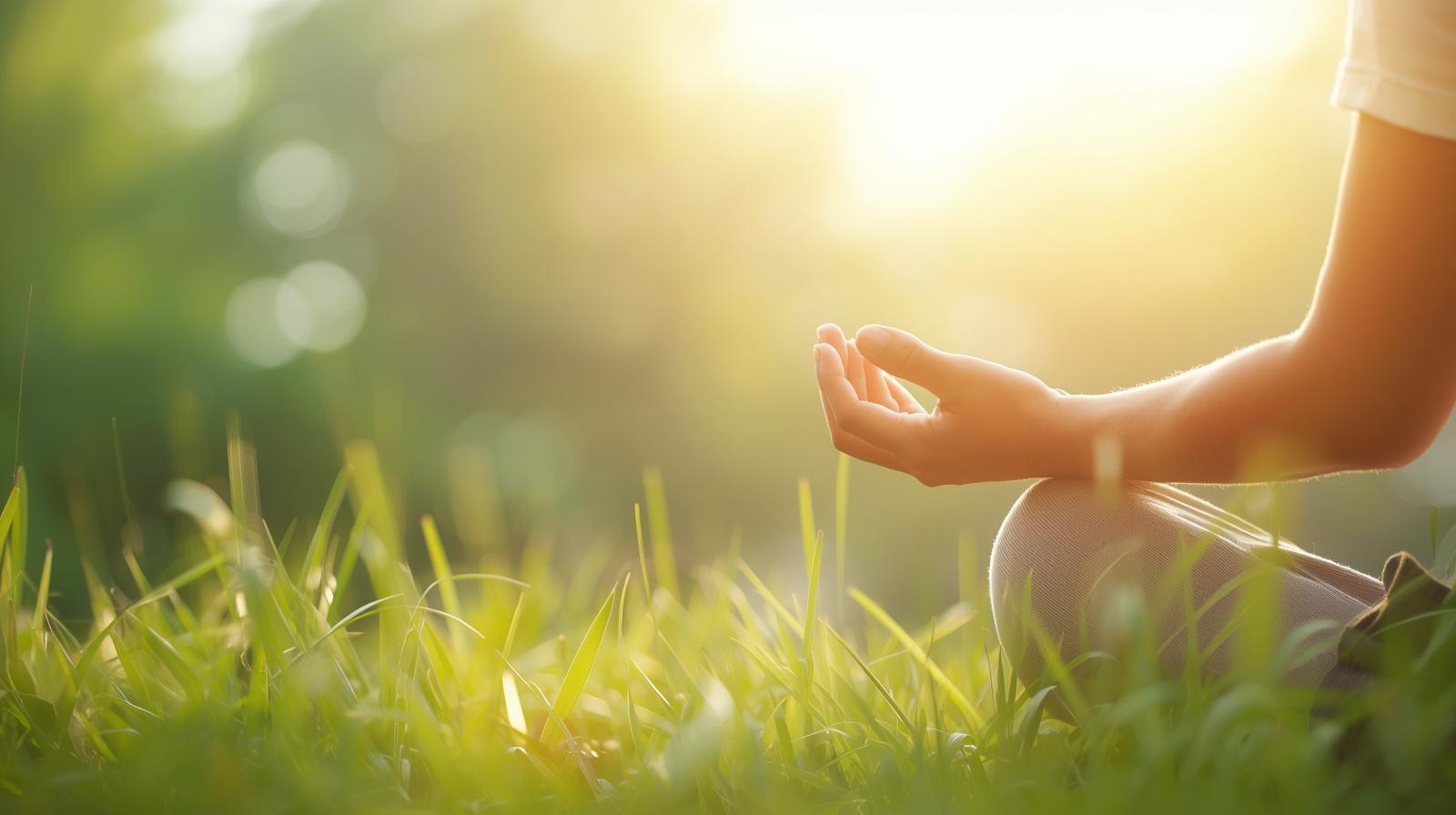 Trauma Informed and Root Cause Therapy Coaching Package