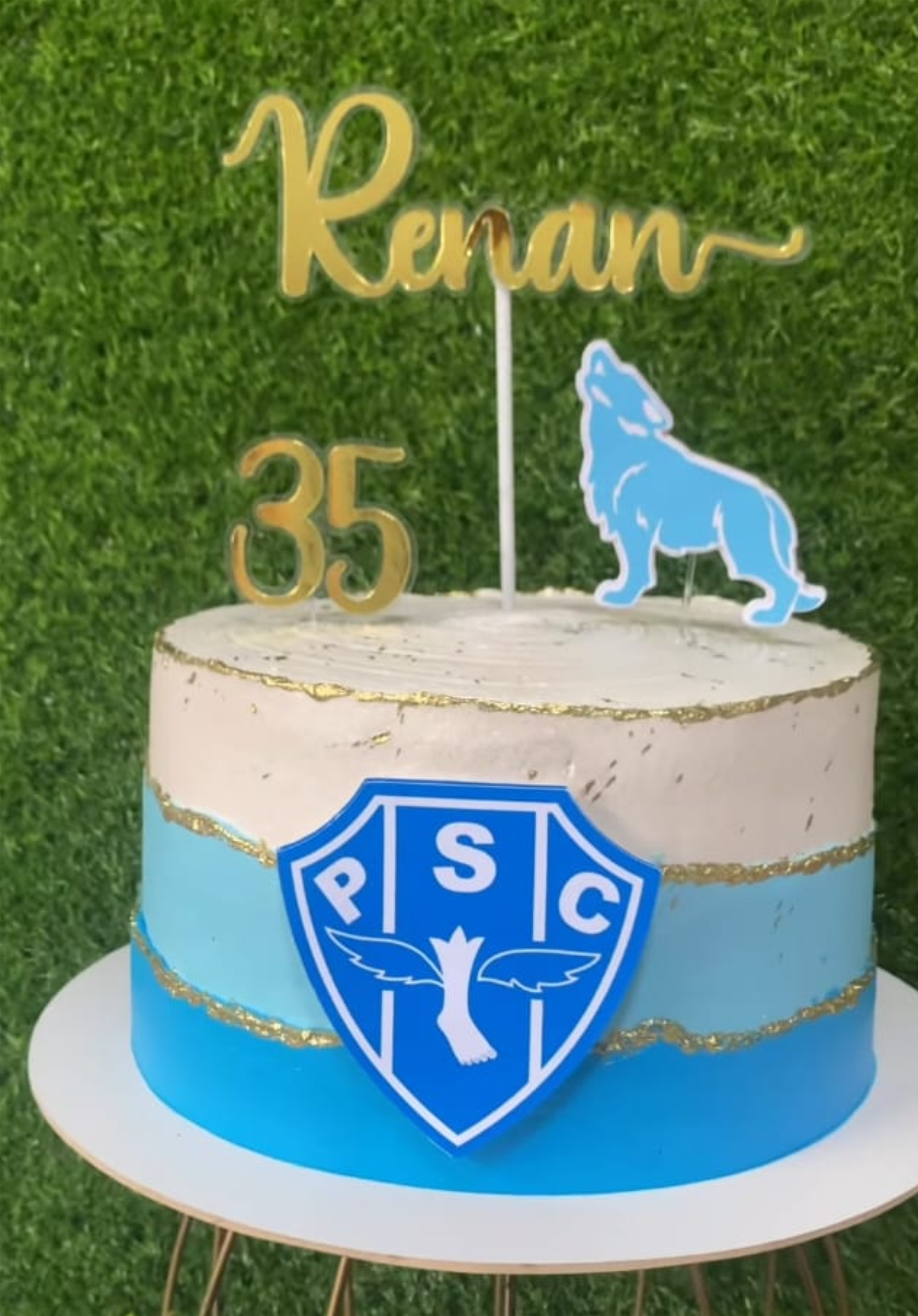 Topo temático do Paysandu