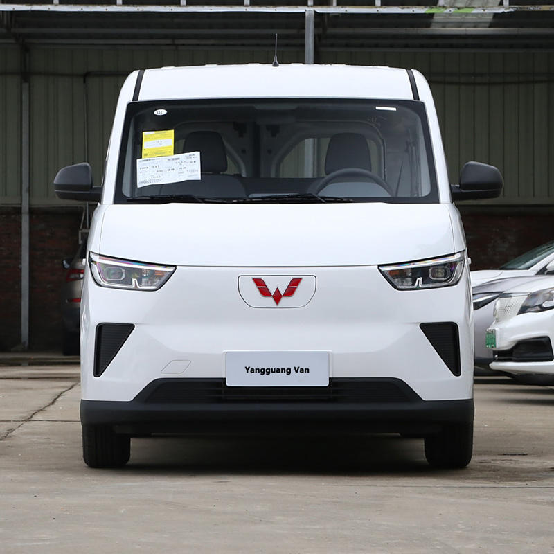 Wuling Yangguang LHD Mini Bus