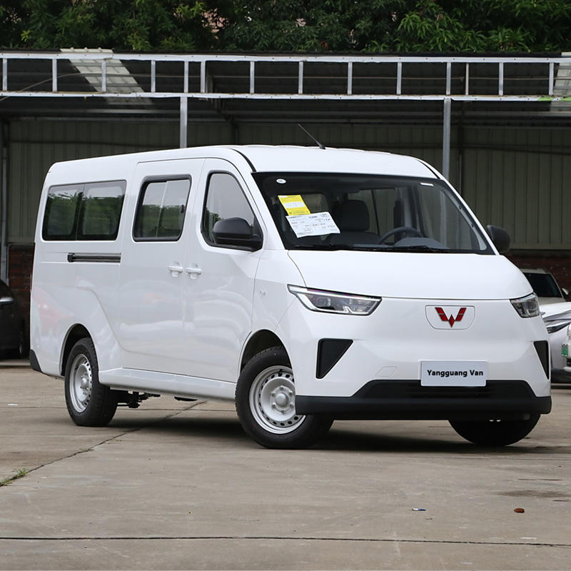 Wuling Yangguang LHD Mini Bus