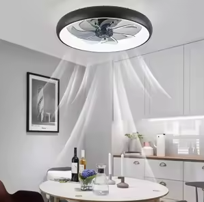 Ceiling Fan with LED Light