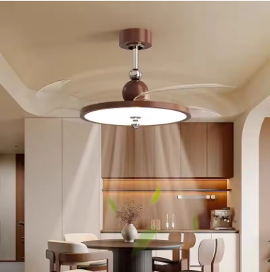 Modern LED Ceiling Fan Light