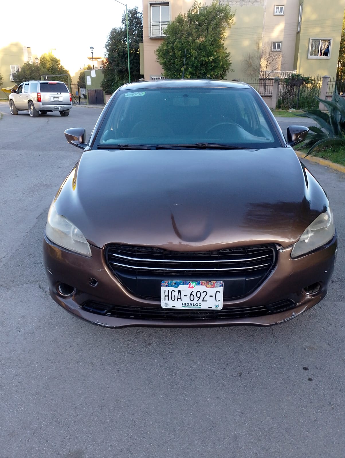 Automóvil sedán peugeot marrón