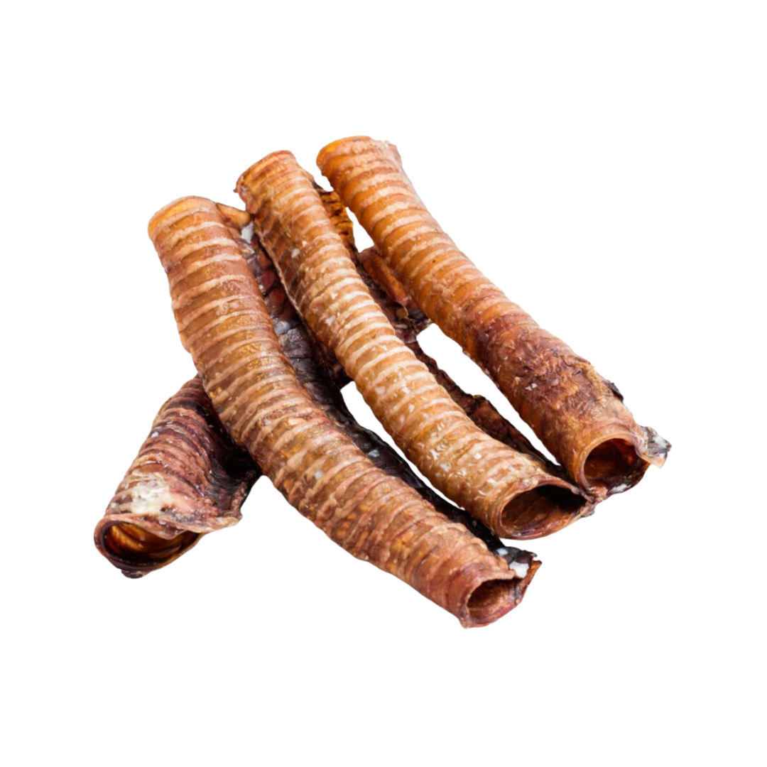 Tráquea de Res Pieza