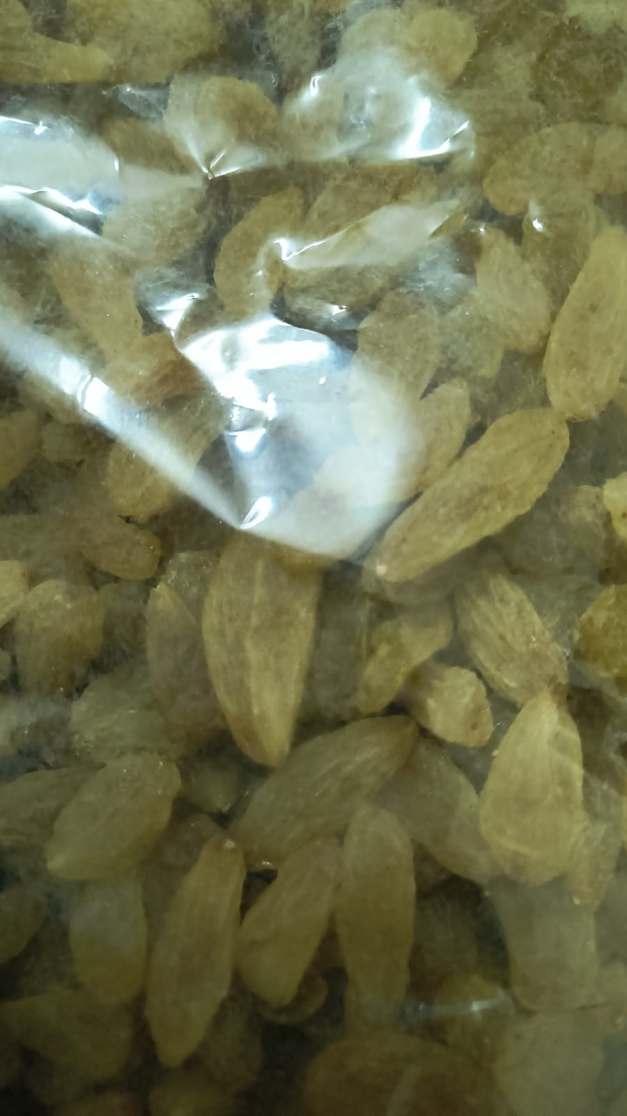 Krisha Kismis Golden
