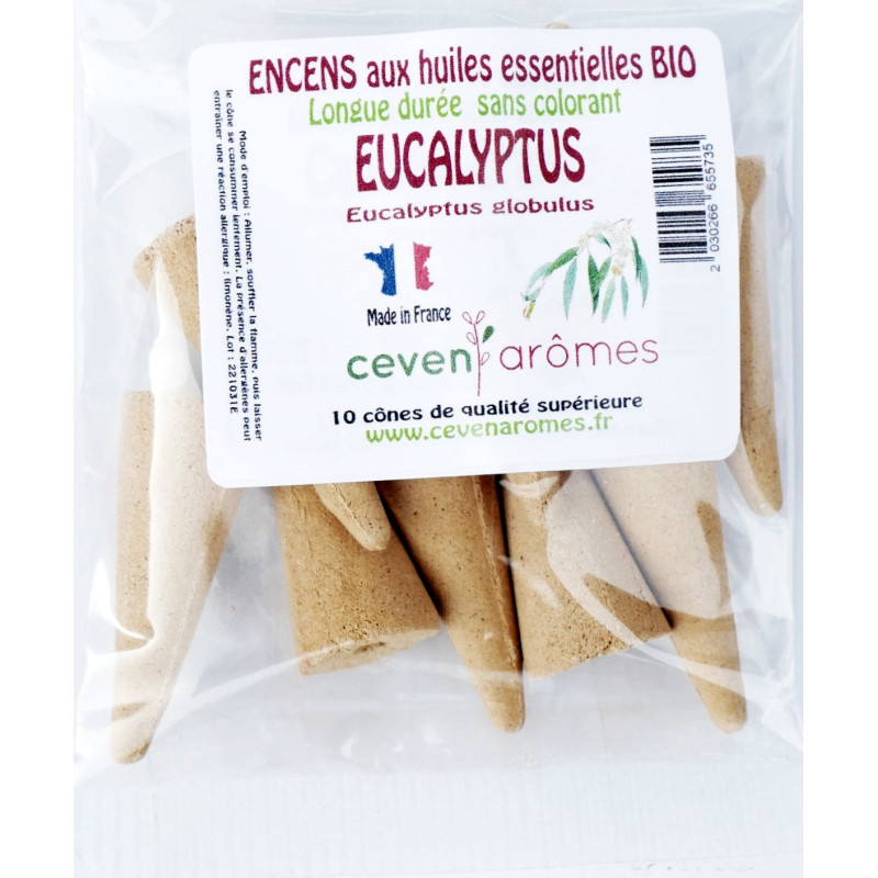 Sachet cônes encens eucalyptus x10
