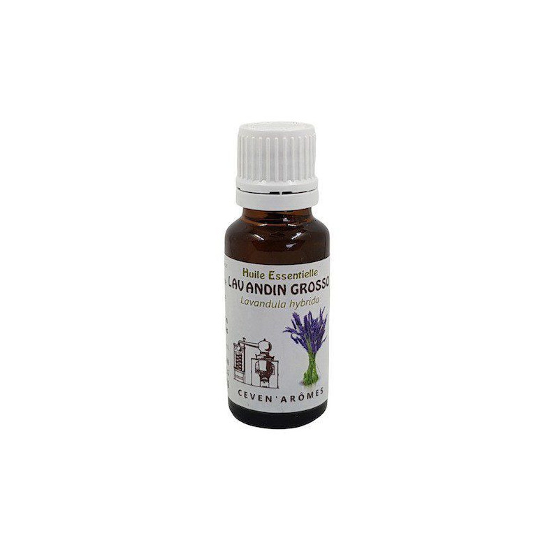 Flacon d' Huile Essentielle Lavandin grosso 20ml