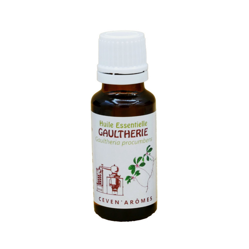 Flacon d' Huile Essentielle Gaulthérie 20ml