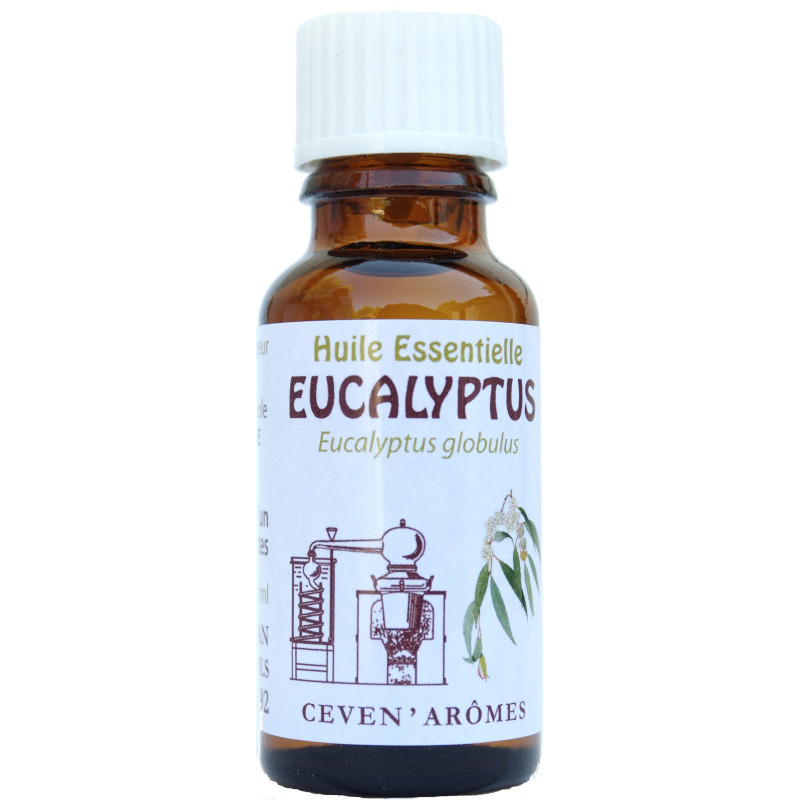 Flacon d' Huile Essentielle Eucalyptus 20ml