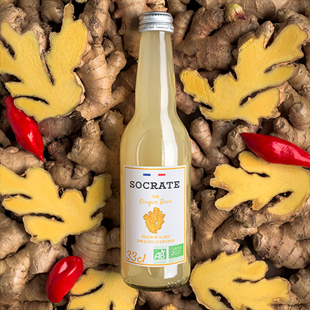 Ginger Beer 33cl et 75cl