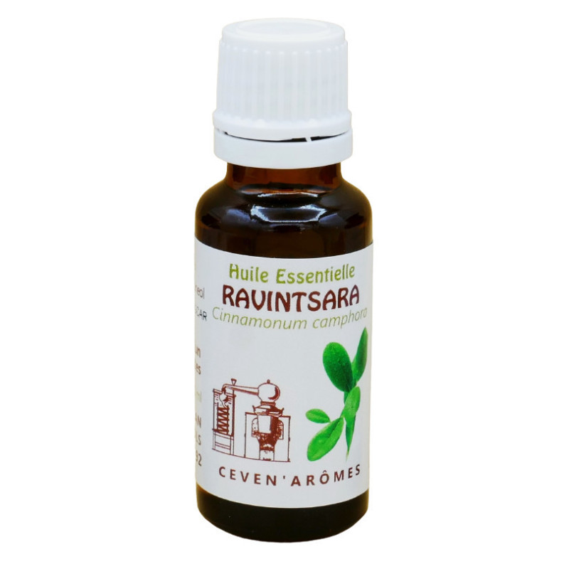 Flacon d' Huile Essentielle Ravintsara 20ml