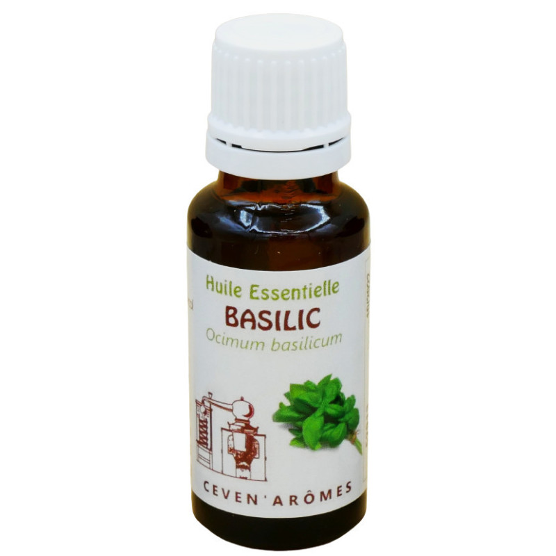 Flacon d' Huile Essentielle Basilic 20ml