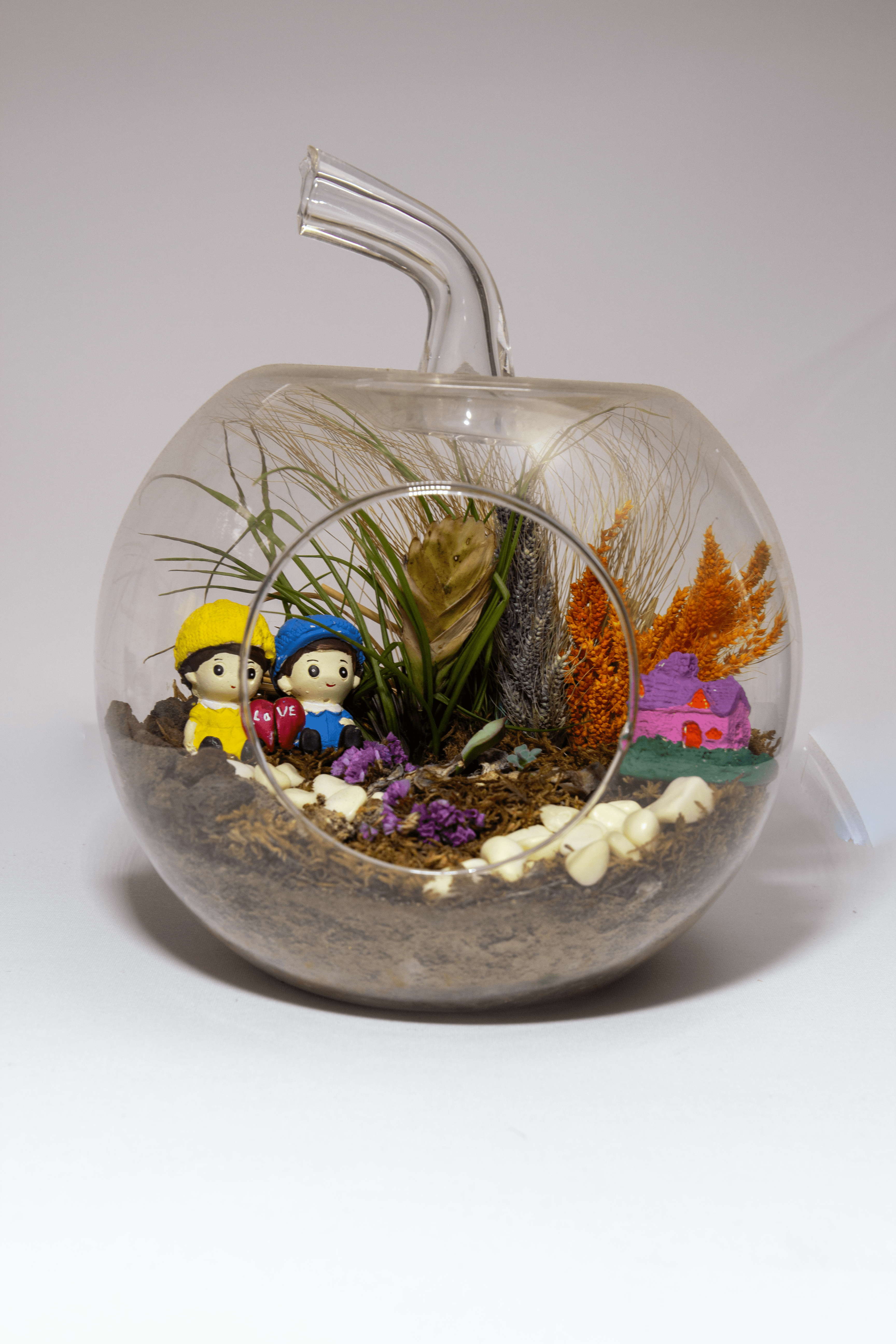Cam Elma Terarium