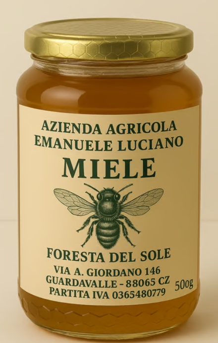 Miele Biologico – Foresta del Sole (500 g)