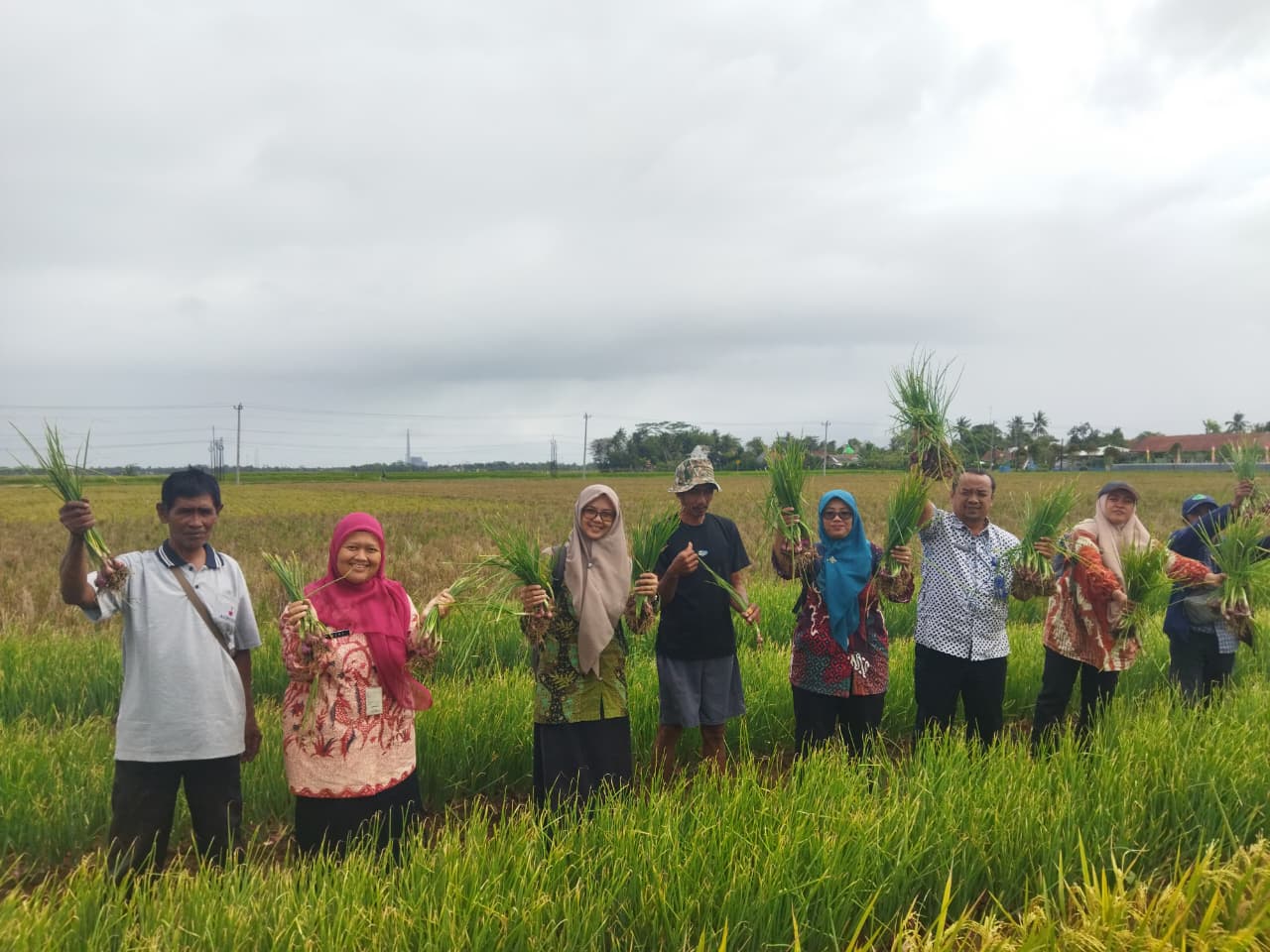 Sayuran Segar Sari Bumi