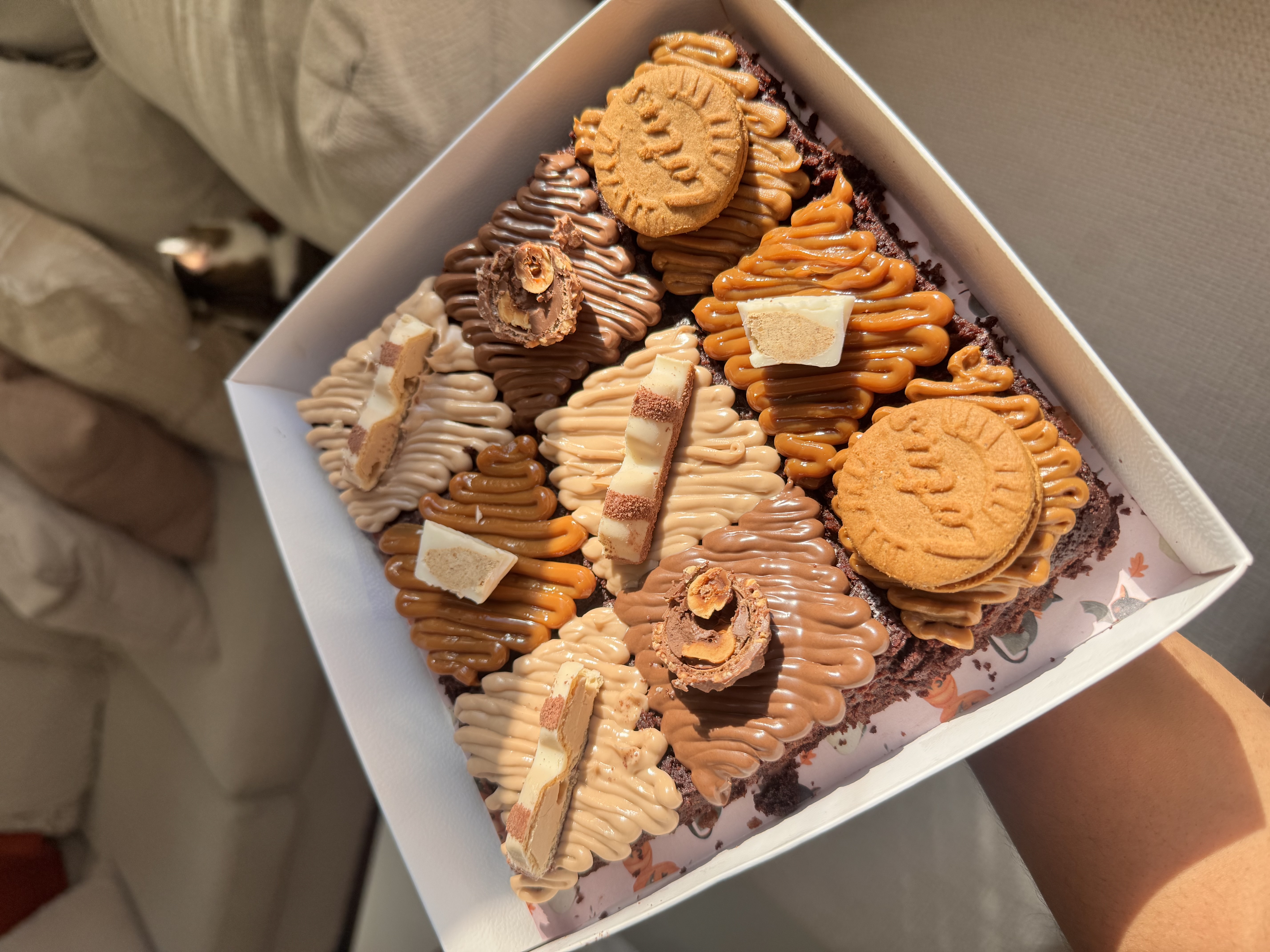 Brownie  box 