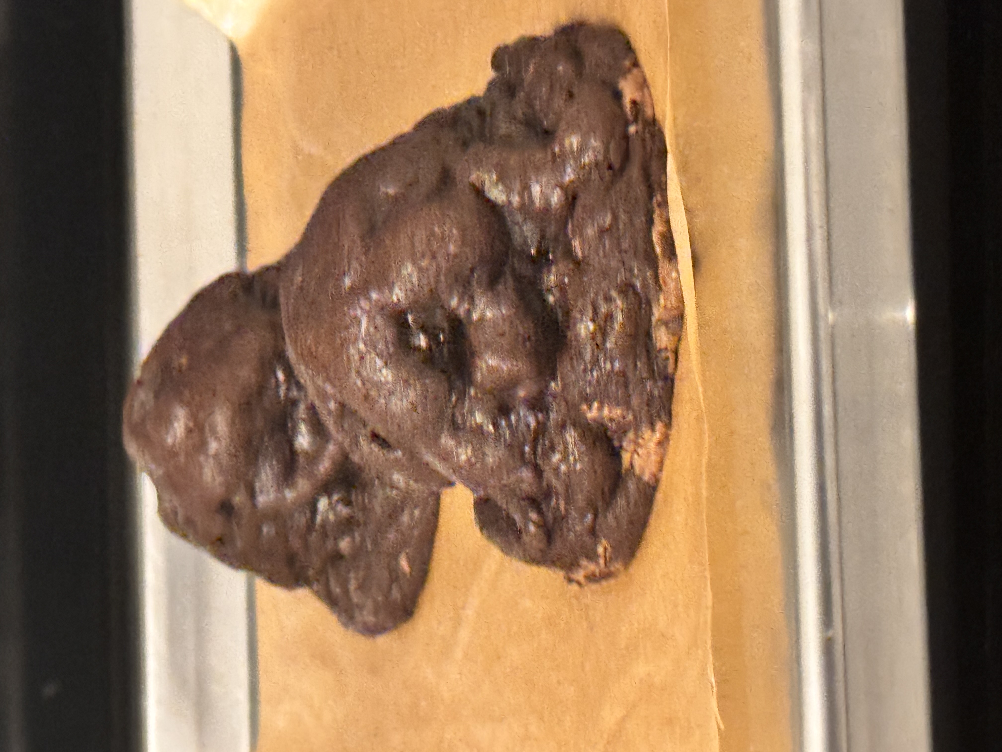 Double chocolate chip hazelnut 