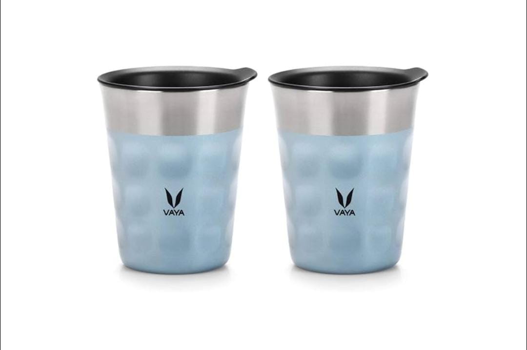 Vaya Stainless Steel Tumblers (Set of 2)