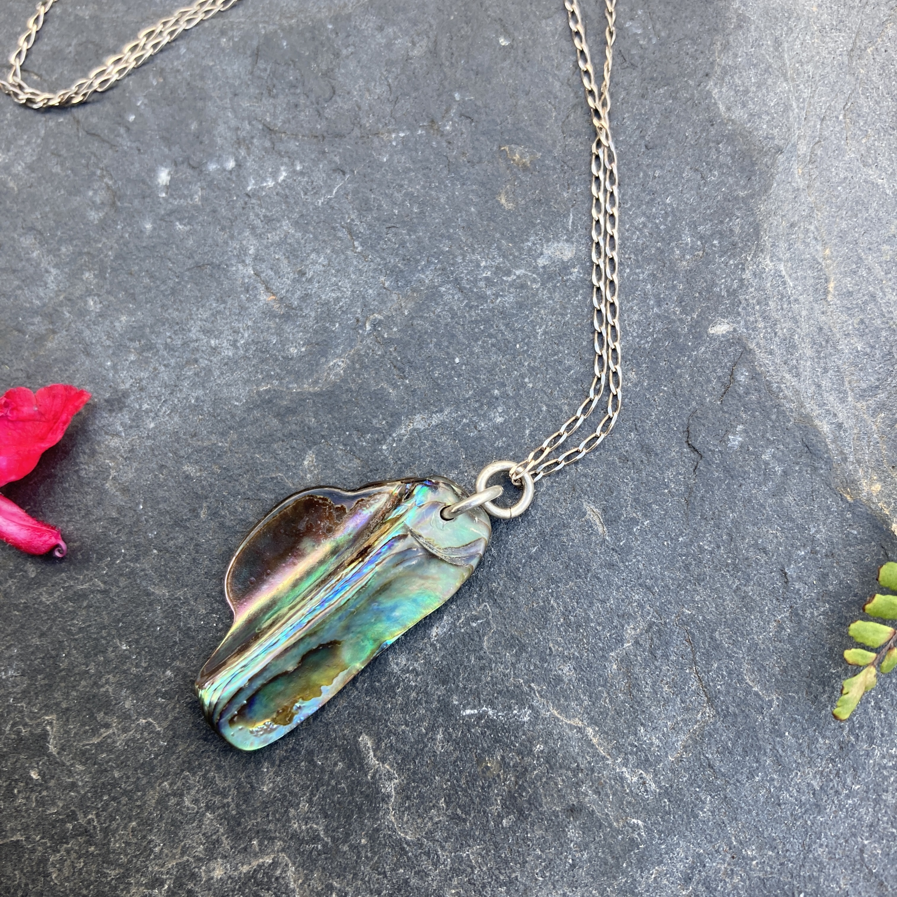 Collier coquillage et argent