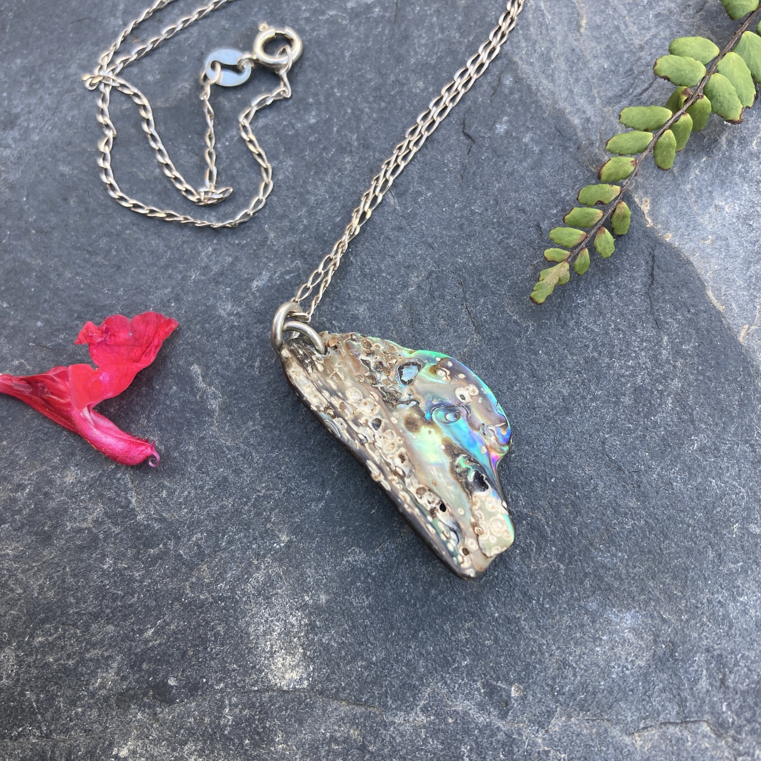 Collier coquillage et argent