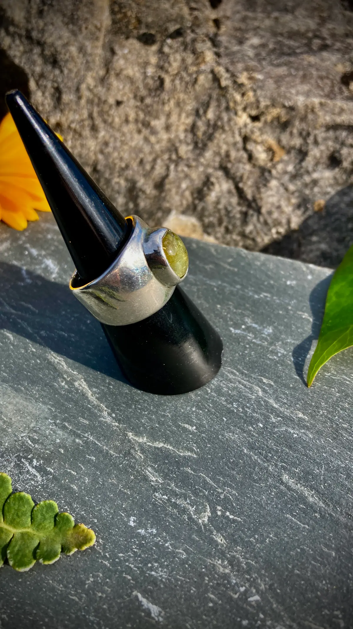 Chevalière épurée