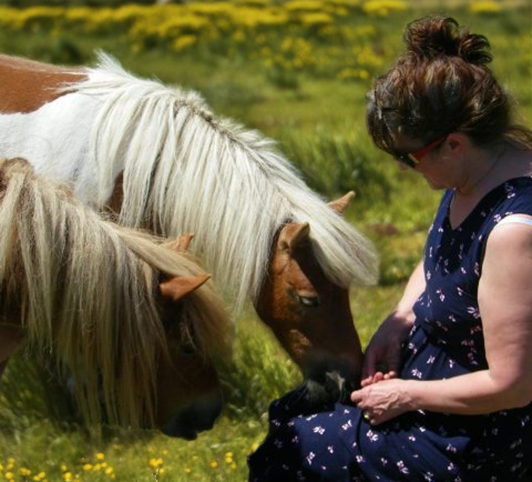 MINDFULNES WITH SHETLAND PONIES EXPERIENCE GIFT CARD