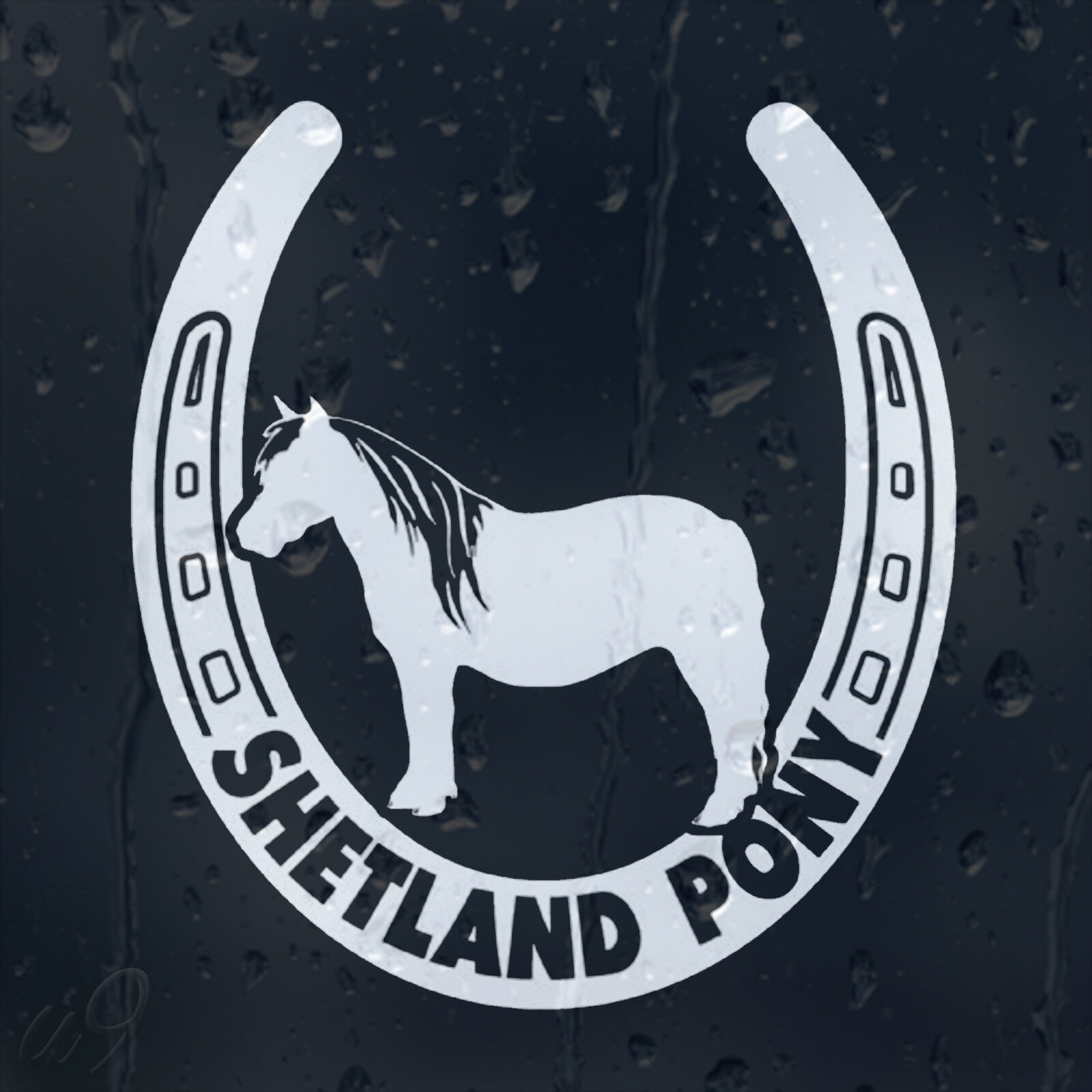 Shetland Pony Window Decal