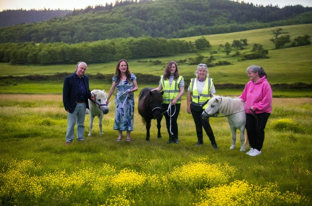 WALKING WITH SHETLAND PONIES EXPERIENCE ..Gift Card
