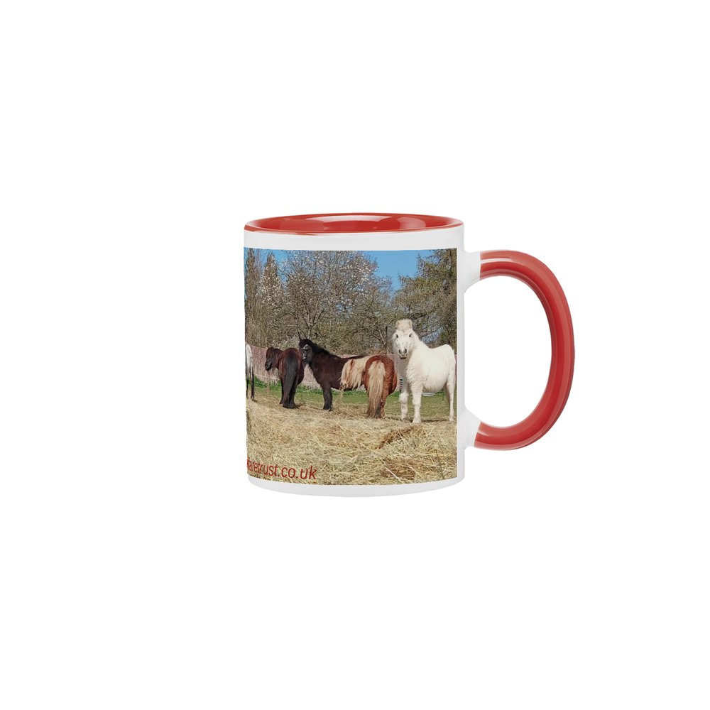 Shetland Pony Welfare Trust . The Herd  Coffee Mug